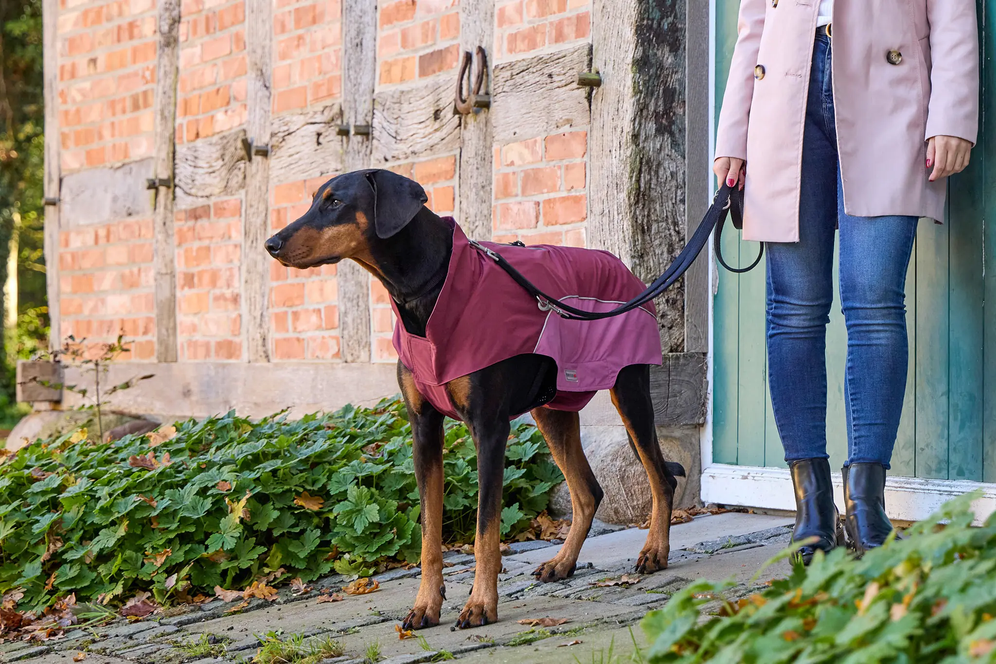 Wolters Hundebekleidung Regenjacke Easy Rain dunkelrot/himbeere