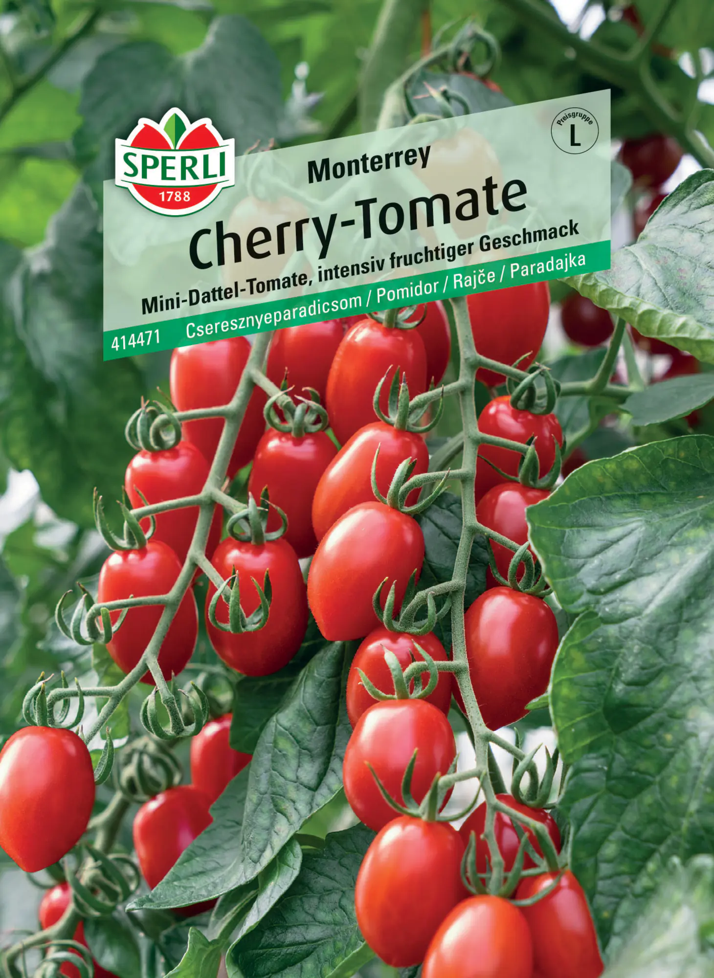 Sperli Cherrytomate Monterrey F1