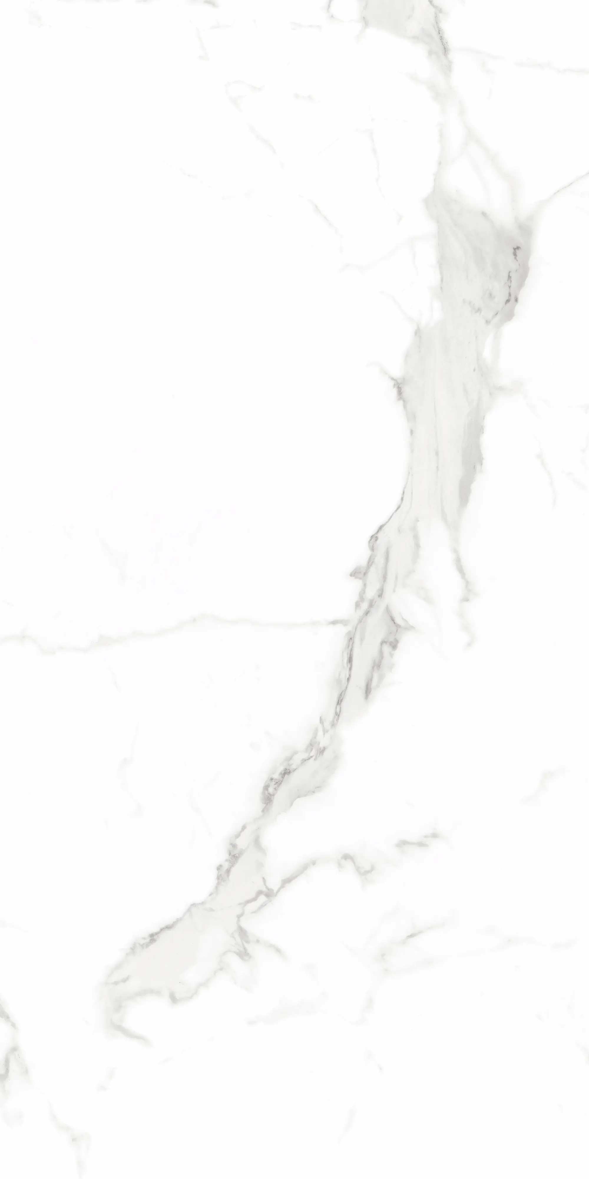 Bodenfliese Feinsteinzeug Alcora 60 x 120 cm weiß/grau