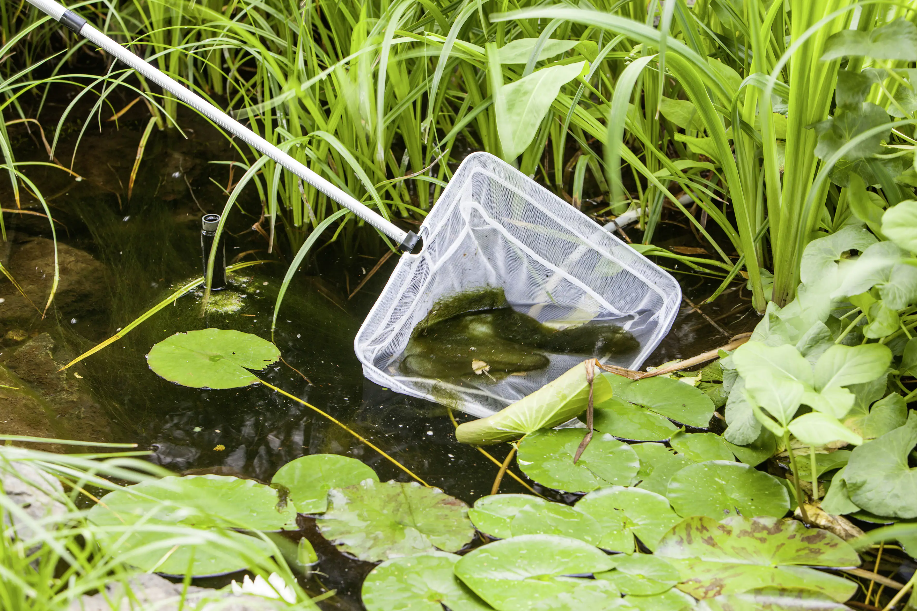 4006873426738 Heissner Teichkescher mittel