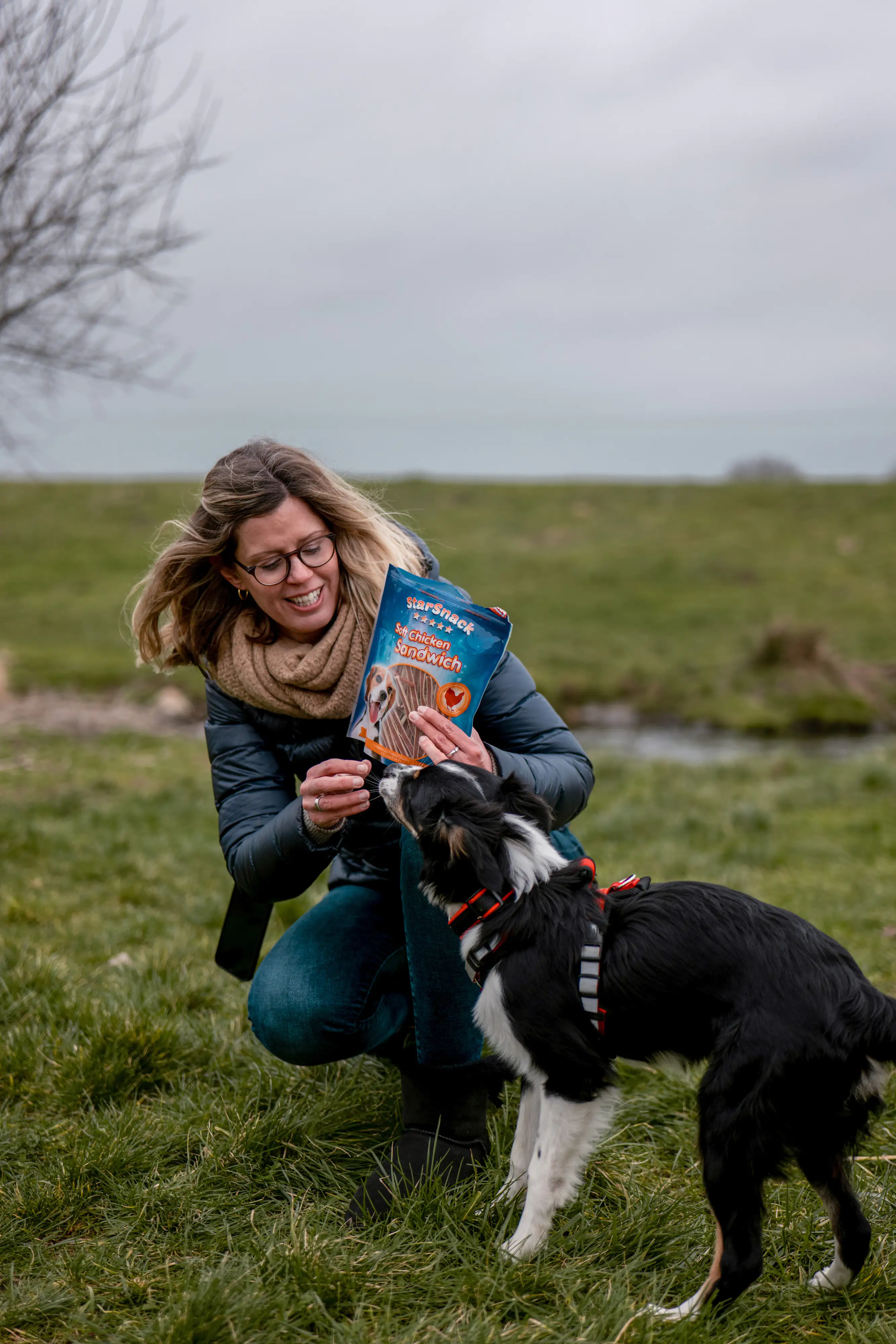 Nobby StarSnack Soft Chicken Sandwich 70 g