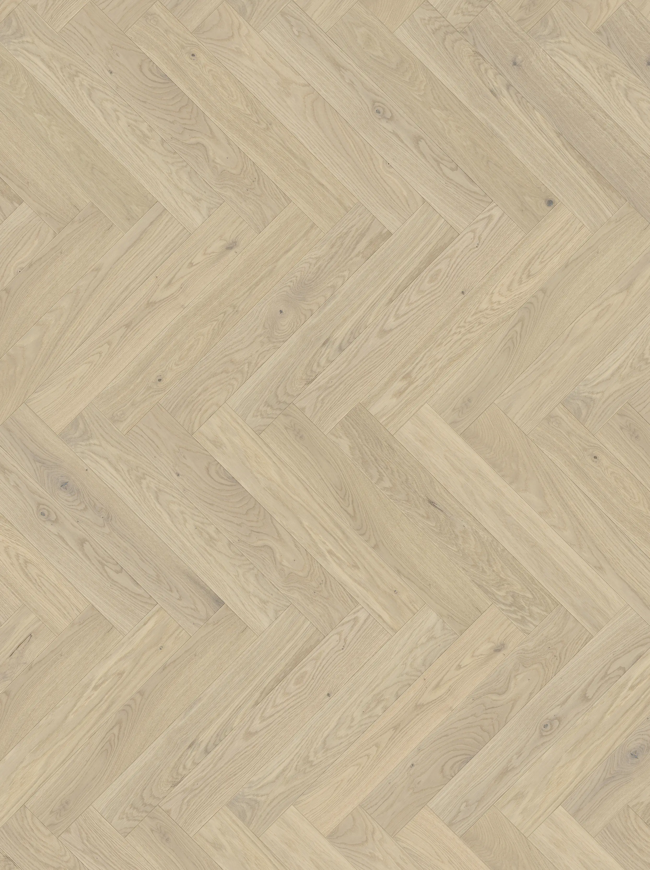 Parador Parkett Trendtime 3 Living Plus Eiche Bardolino weiß lackversiegelt matt weiß Minifase