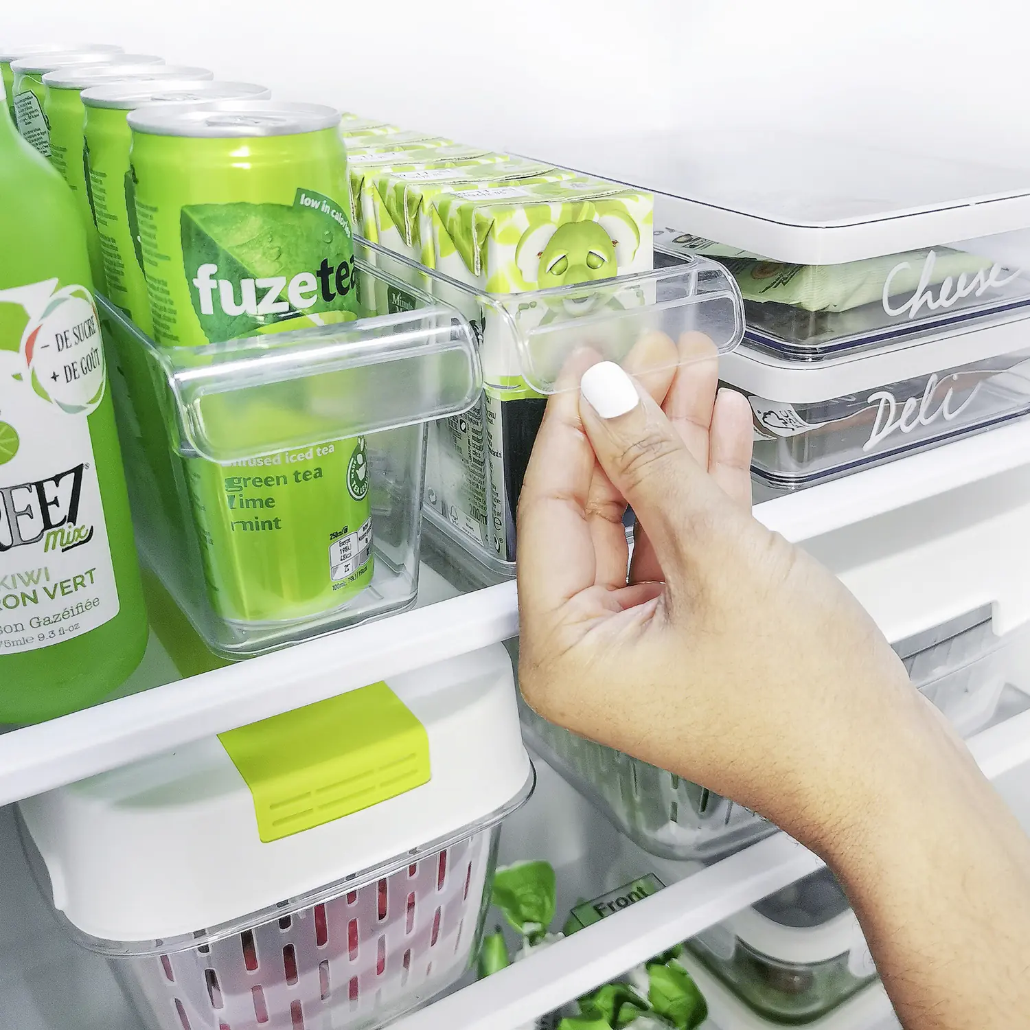 Rotho Kühlschrankorganizer Loft 1,6 l