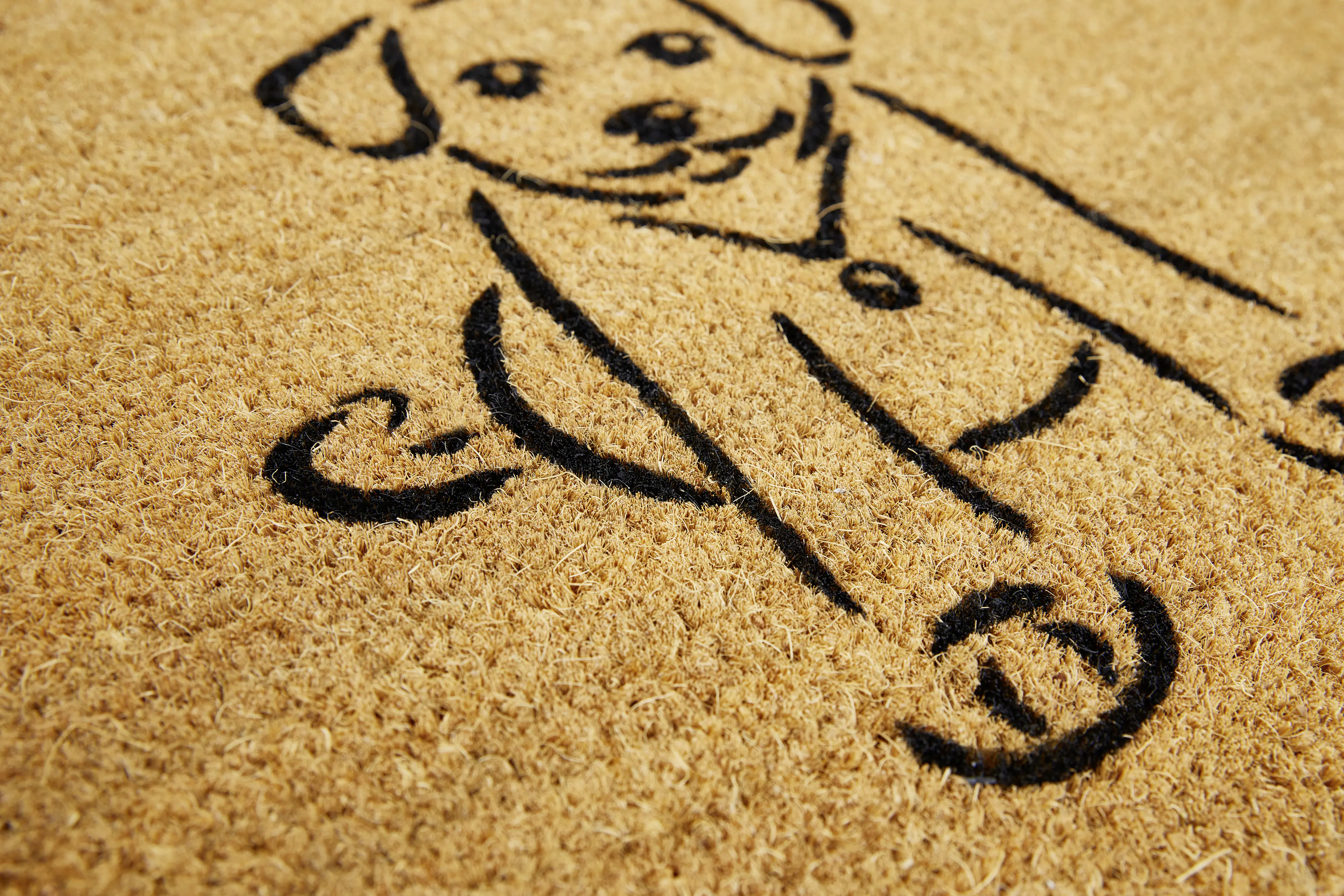 Fußmatte Kokos Pets 40 x 60 cm Dog