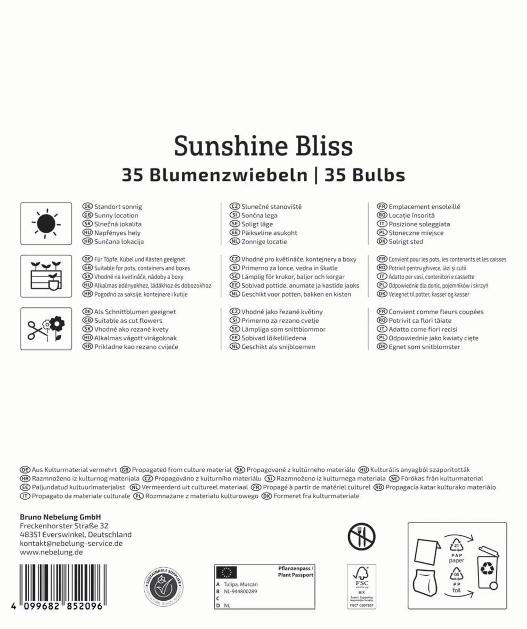 Kiepenkerl Herbstblumenzwiebelmischung Mega-Pack Sunshine Bliss 35 Stück
