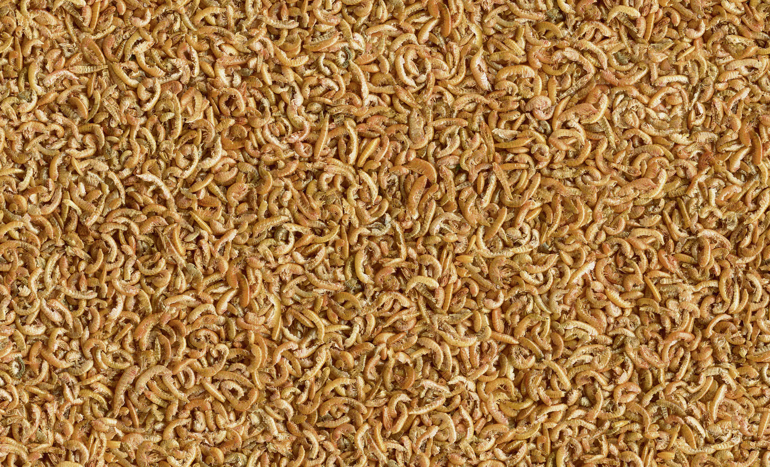 Tetra Gammarus 250 ml