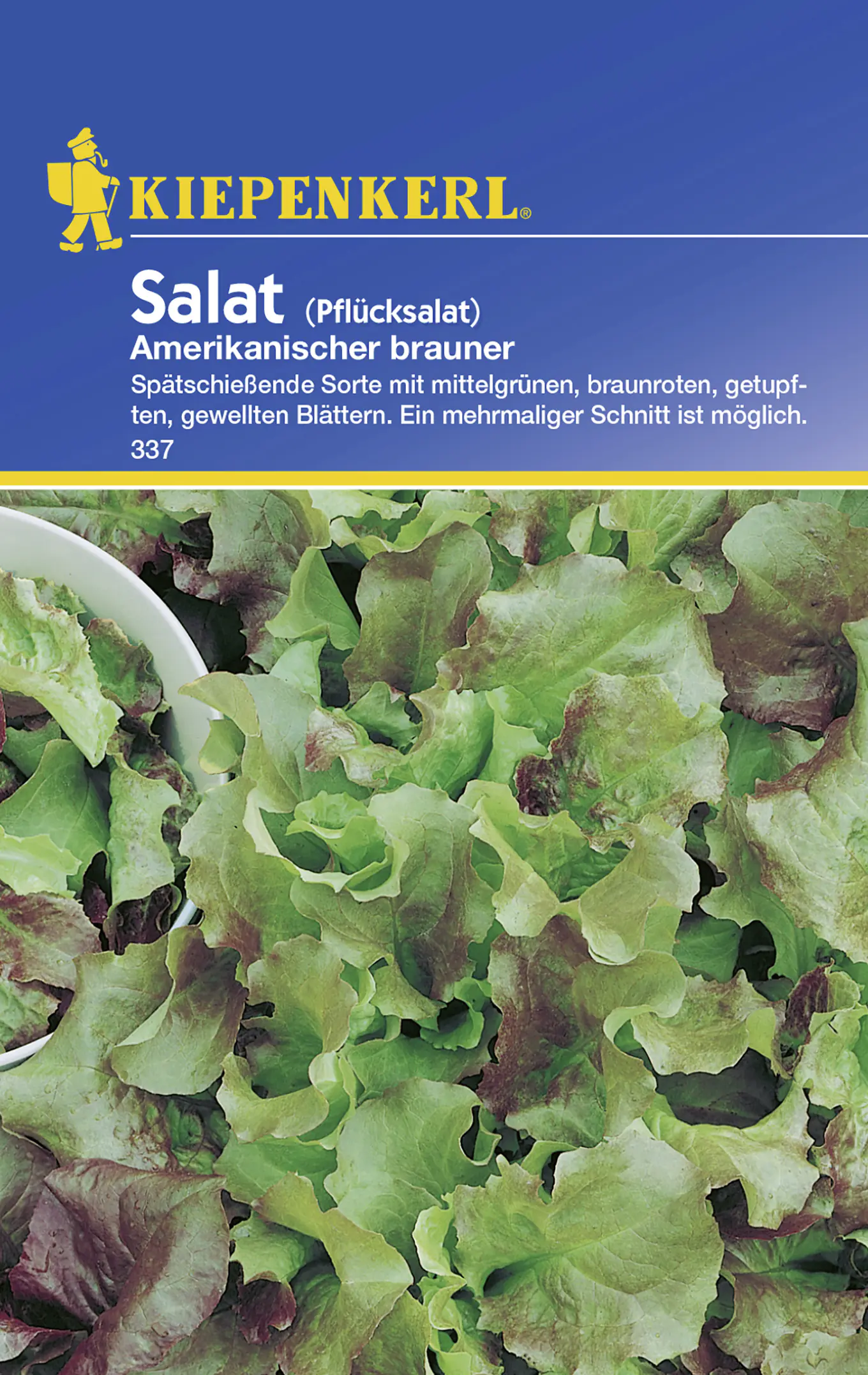 Kiepenkerl Pflücksalat Amerikanischer brauner Lactuca sativa var.crispa, Inhalt: ca. 5 lfd. Meter