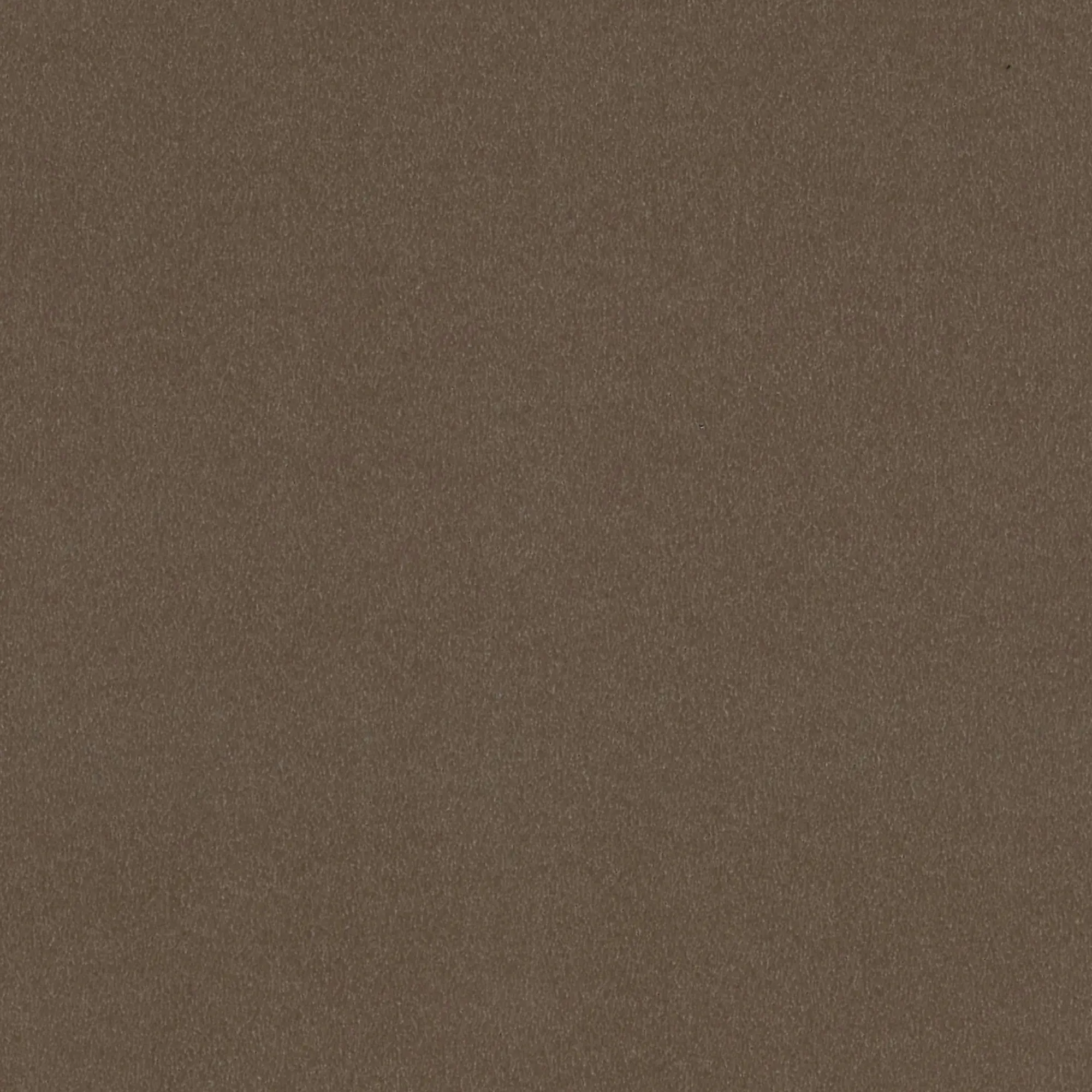 Neuhofer Fußleiste 240 cm x 58 x 19 mm braun