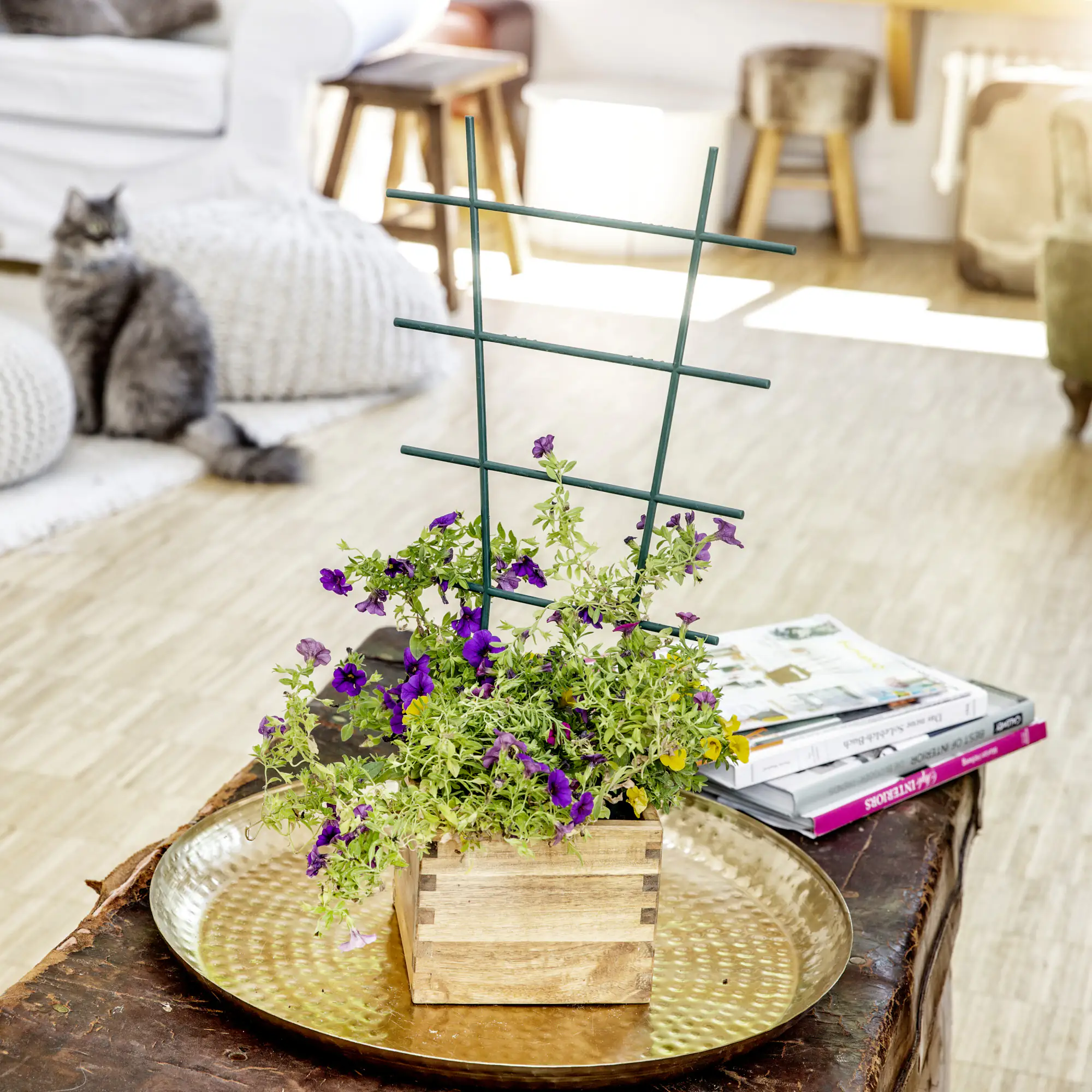 Windhager Blumenstütze 57x31cm 57 x 31 cm