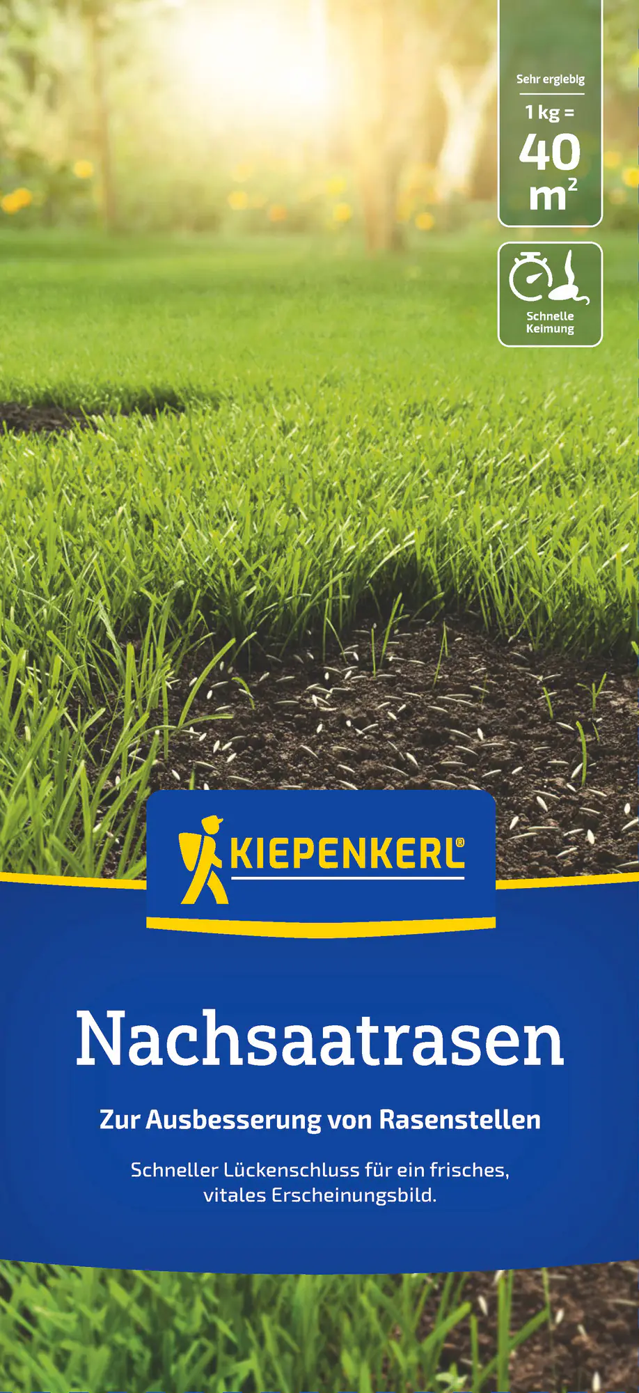 Kiepenkerl Saatgut Kiepenkerl Nachsaatrasen 1 kg für ca. 40 m²