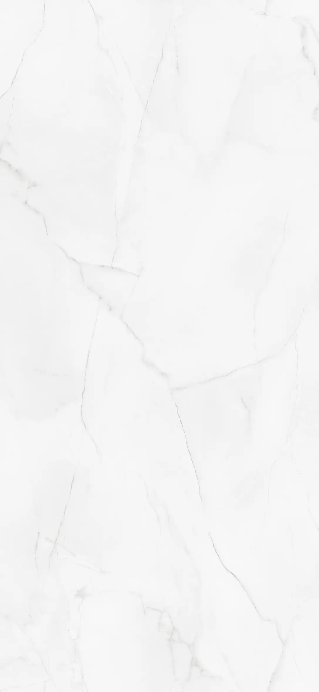 Wetwall Elite Wandpaneel  Athena Marble 120 x 260 cm mit abgerundeter Abschlusskante
