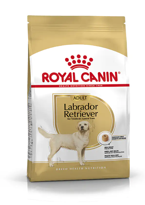 Royal Canin Hundetrockenfutter Adult Labrador Retriever 3 kg Geflügel 