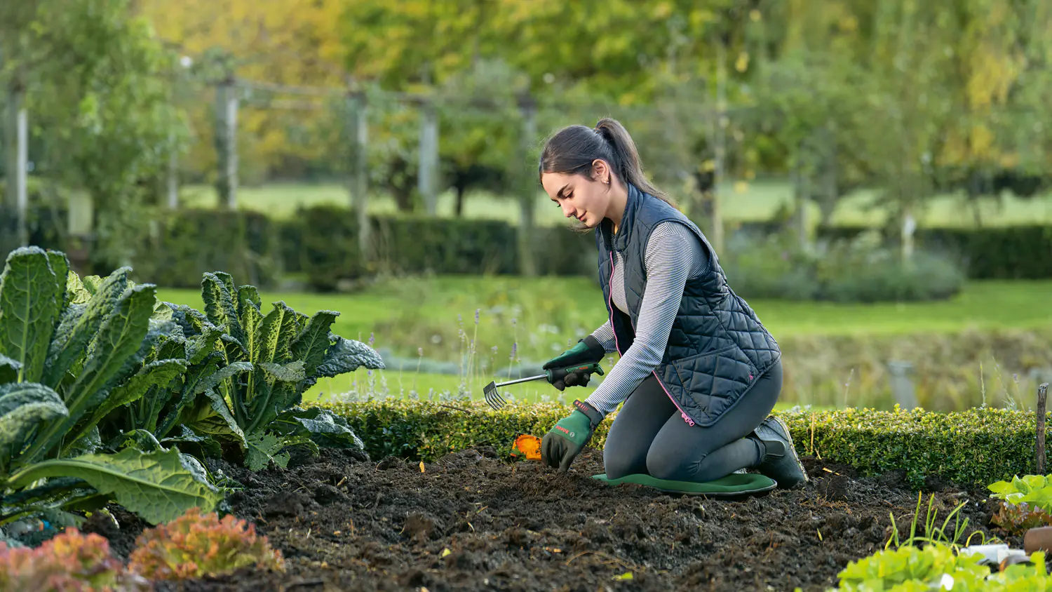 Bosch Handrechen 9 cm Arbeitsbreite