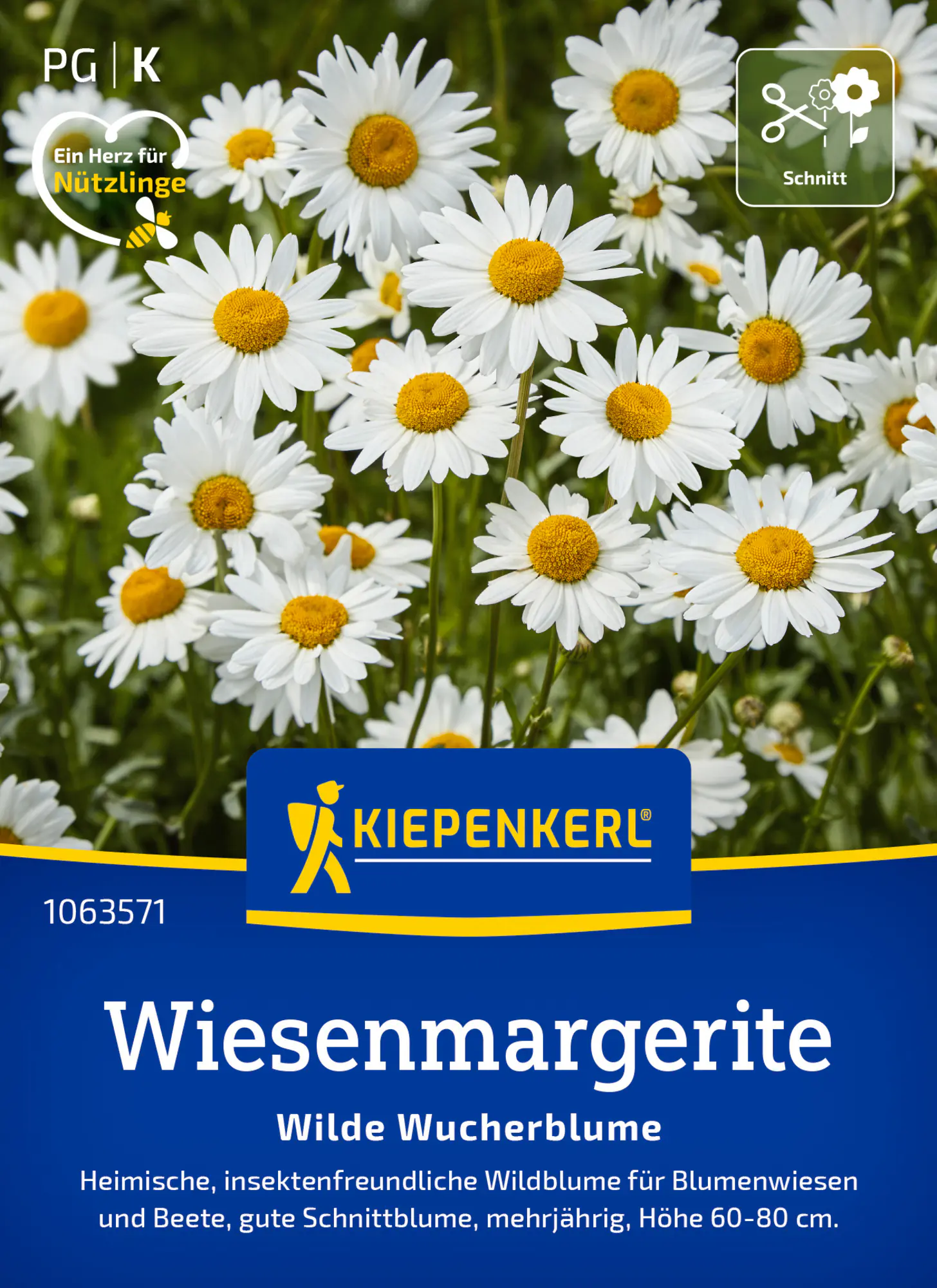 Kiepenkerl Blumensamen Wiesenmargeriten Wilde Wucherblume für ca. 300 Pflanzen