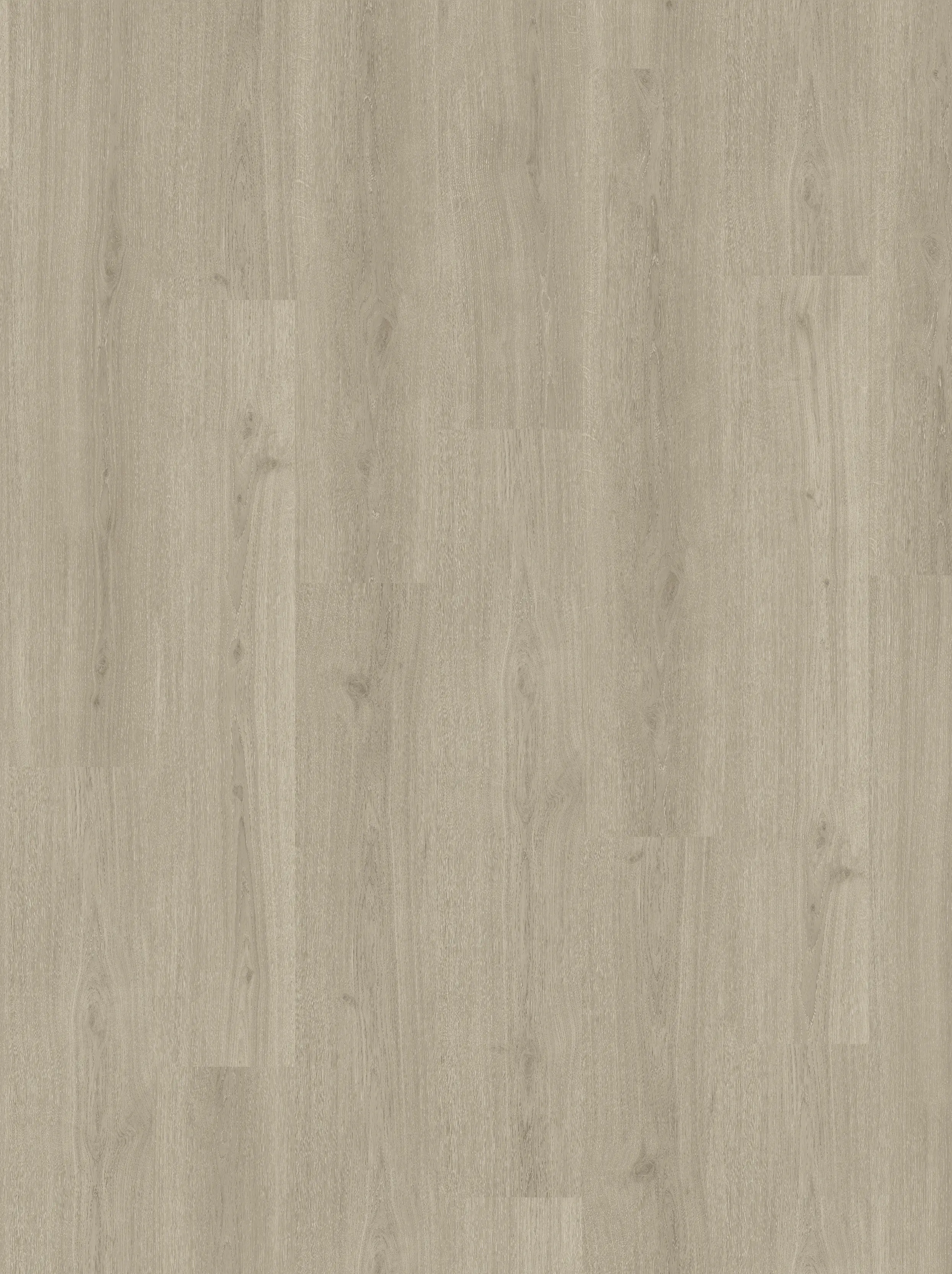 Parador Vinylboden mit Trillschalldämmung Basic 30 Eiche regent grau