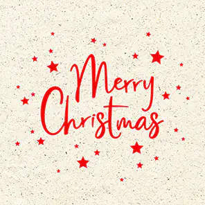 Braun & Company Servietten Atelier Merry Moments 33 x 33 cm - 20er Pack