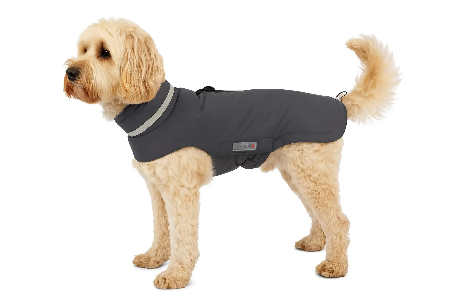 Wolters Hundebekleidung Outdoorjacke Modern Classic anthrazit Wolters Hundebekleidung Outdoorjacke Modern Classic anthrazit
