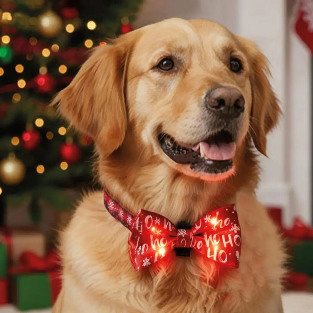 Nobby Hunde-Fliege Xmas leuchtend 10 x 6 cm rot