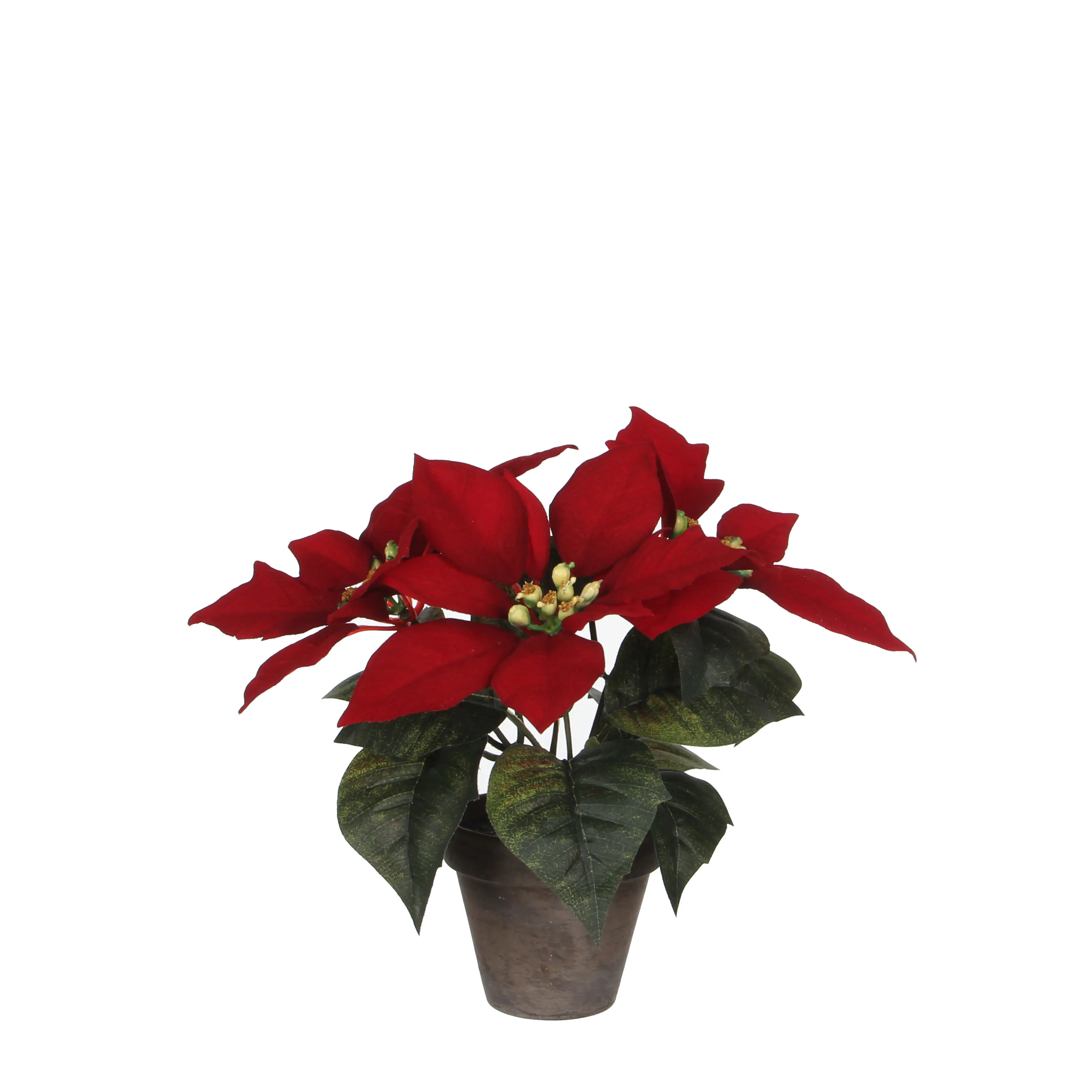 Mica Weihnachtsdeko Poinsettia rot im Topf 25 x 9 cm grau