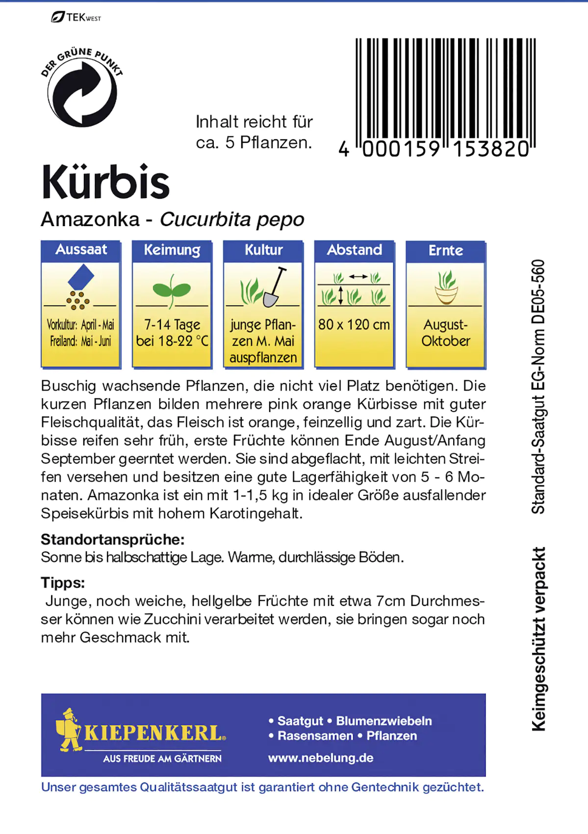 Kiepenkerl Kürbis Amazonka Cucurbita pepo, Inhalt: ca. 5 Pflanzen