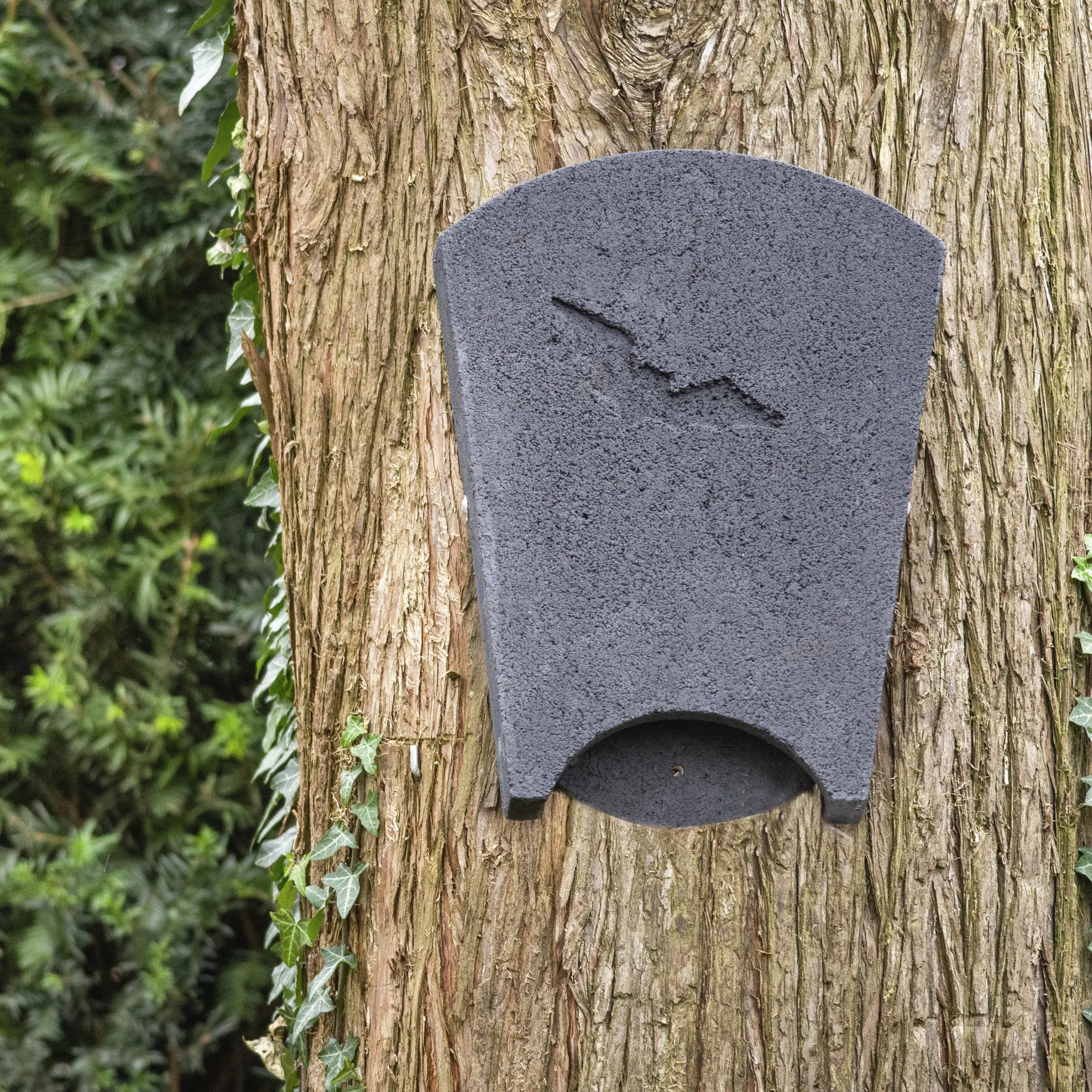 CJ Wildbird Fledermausnistkasten Beaumaris
