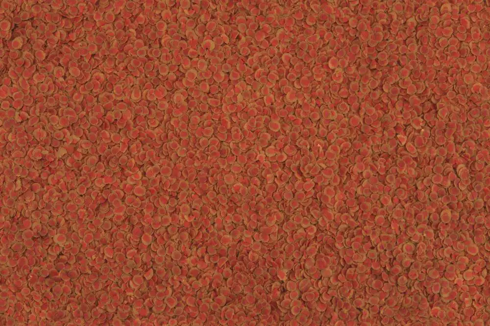 TetraPro Zierfischfutter Colour 500 ml