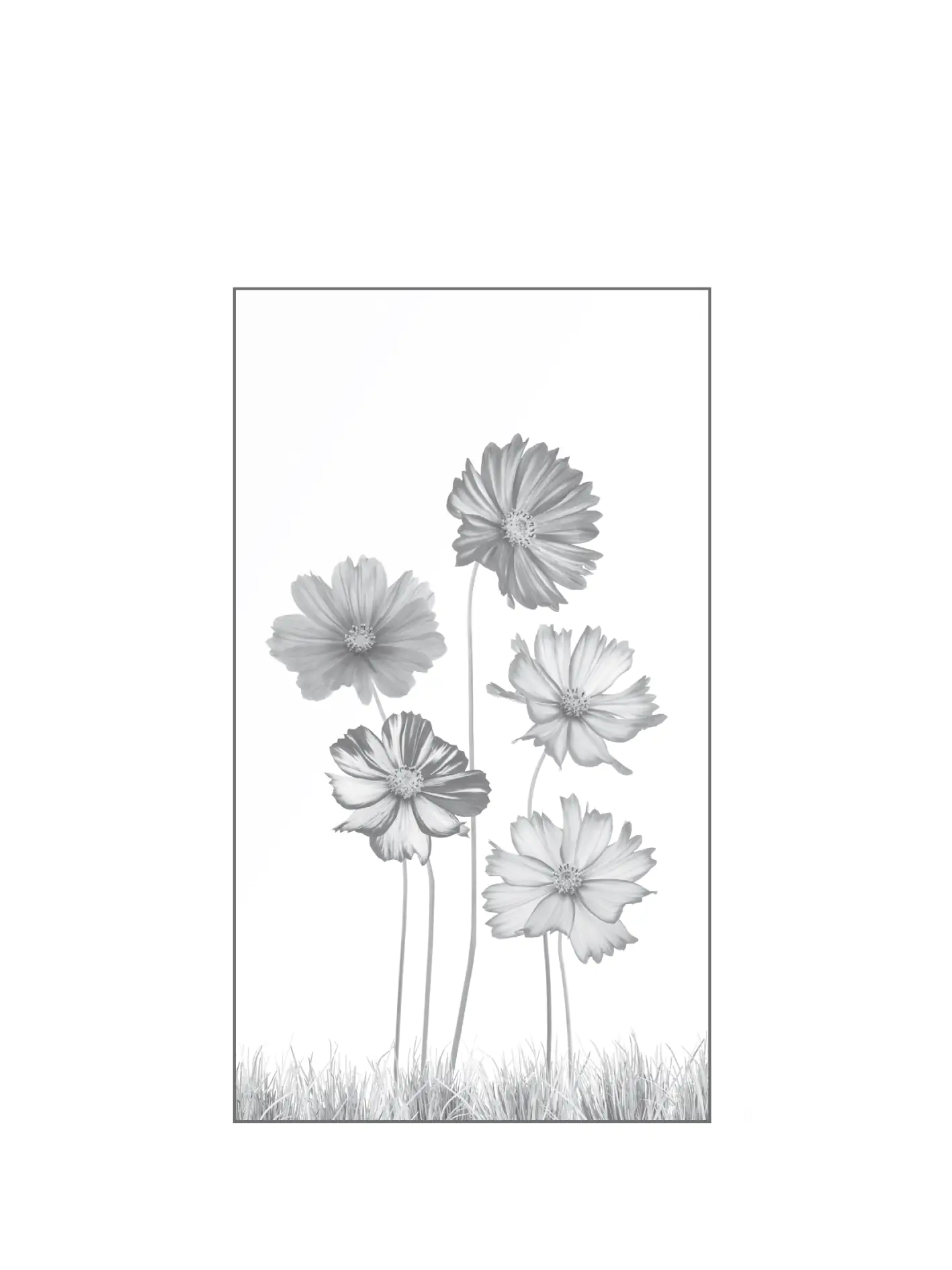 Ambiente Glaszaun Dekor 93 103 x 180 cm gehärtetes 8 mm Glas