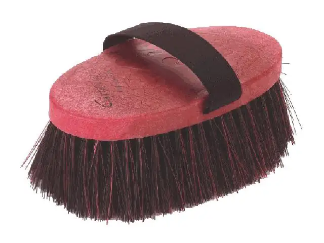 Haas Pferdekardätsche Groovy