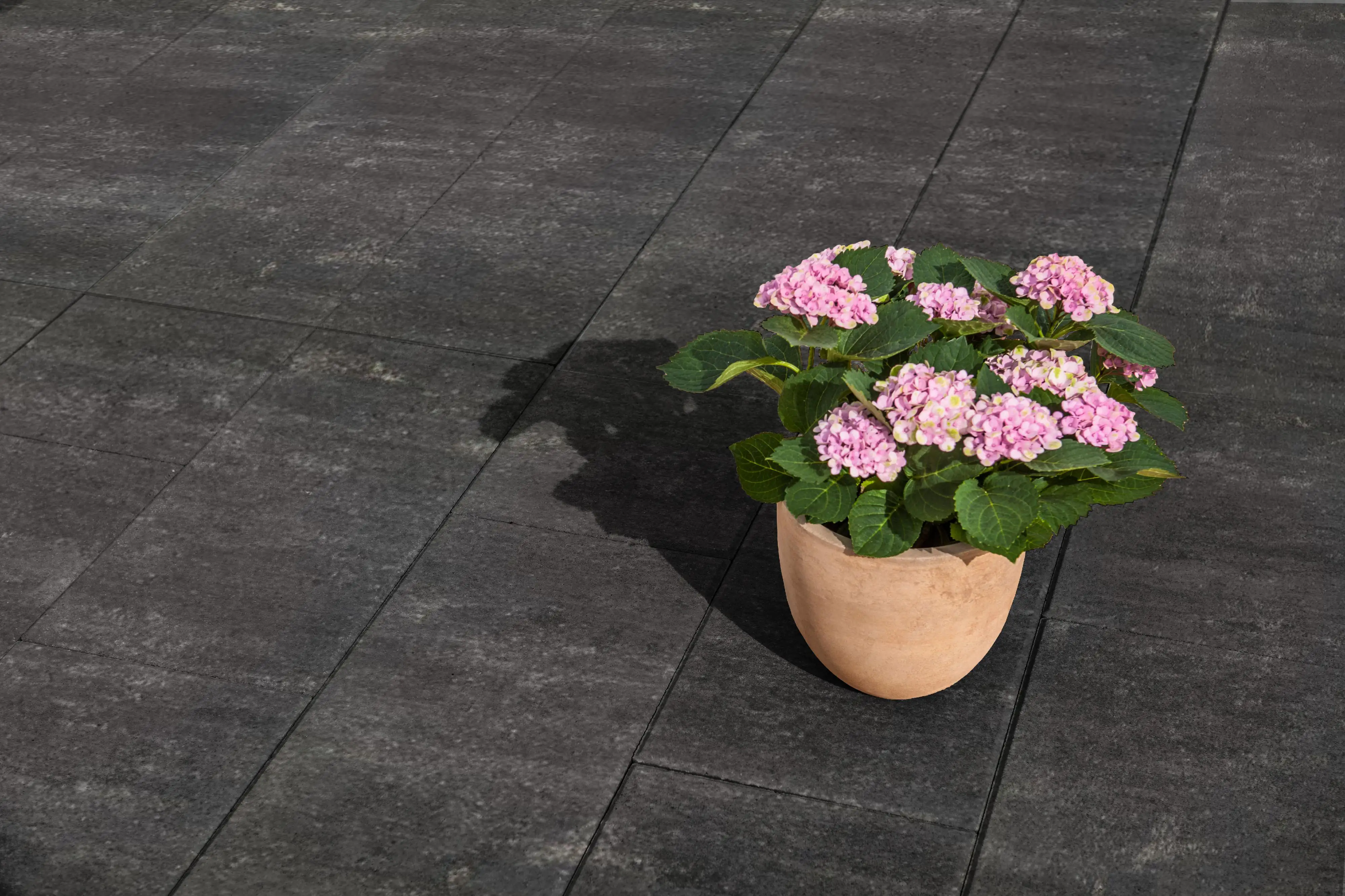 Diephaus Terrassenplatte Callado 60 x 30 x 4 cm quarzit Diephaus Terrassenplatte Callado 60 x 30 x 4 cm quarzit