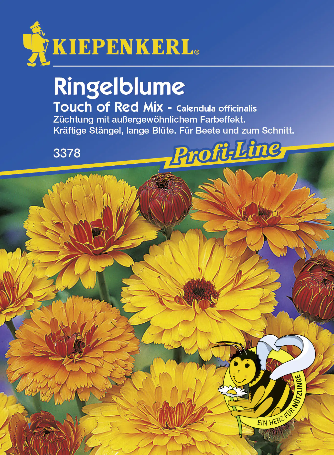 Kiepenkerl Ringelblume Touch Of Red Calendula officinalis, Inhalt: ca. 80 Pflanzen