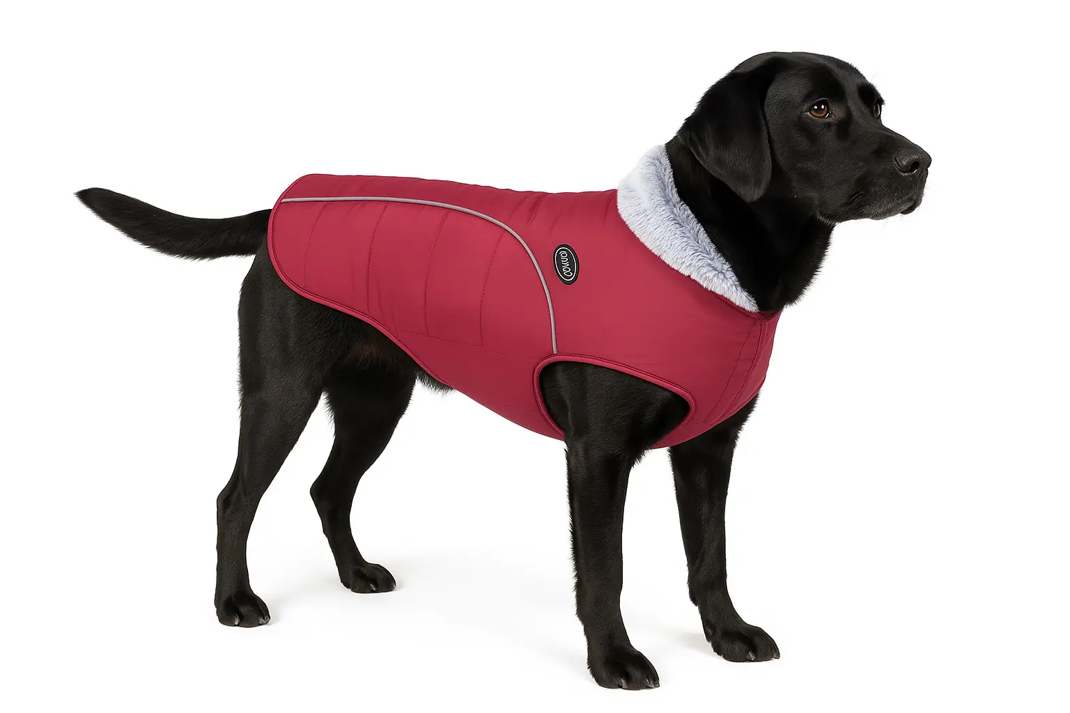 Nobby Hundemantel Alva rot Nobby Hundemantel Alva rot