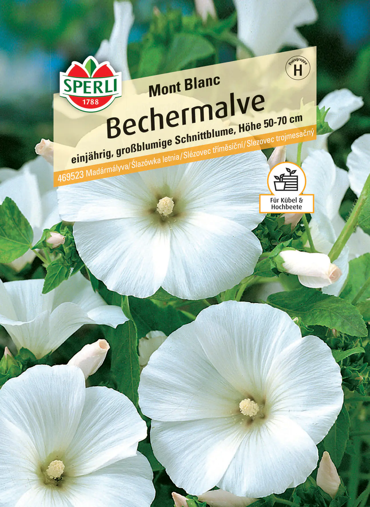 Sperli Bechermalve Mont Blanc