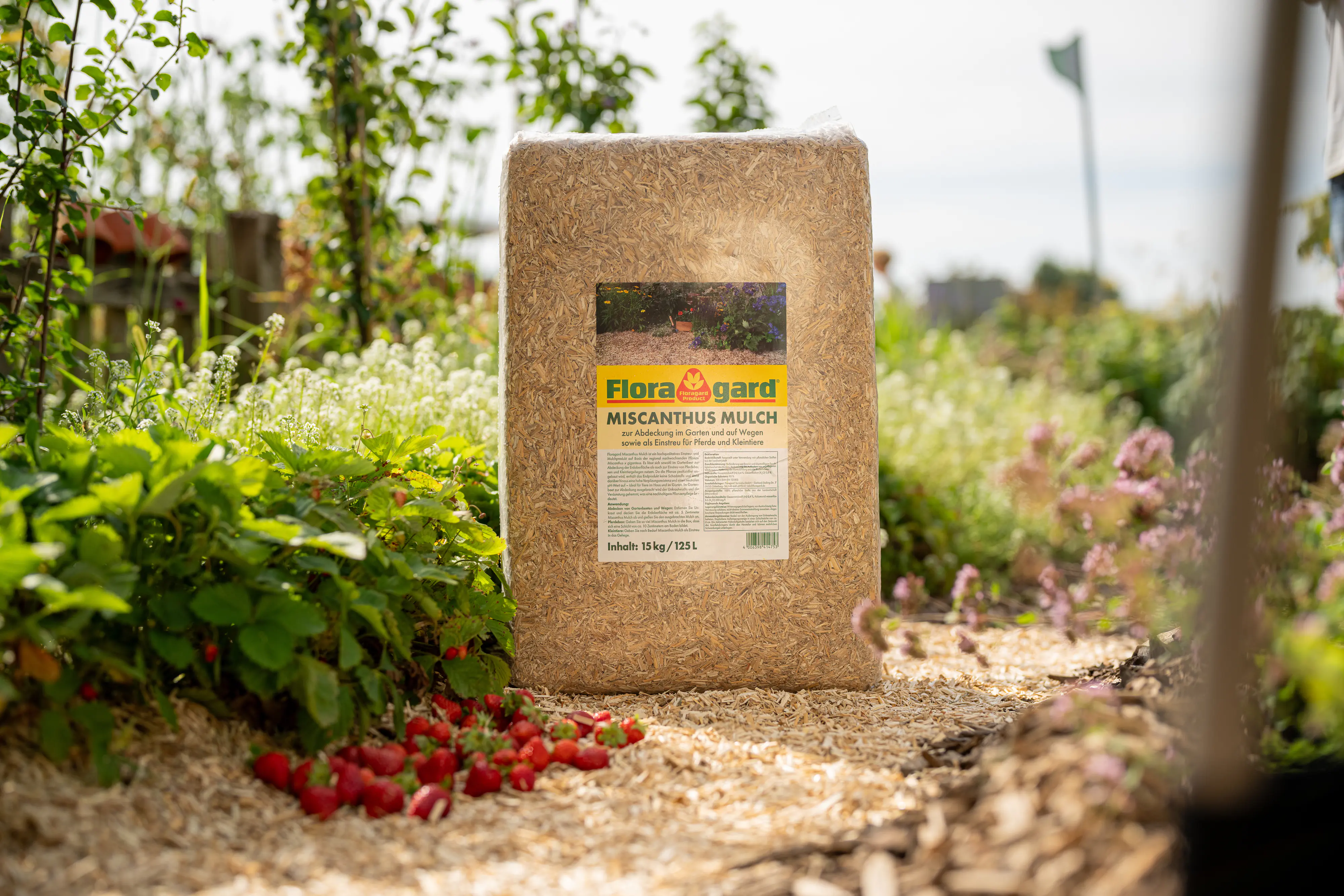 Floragard natürlicher Unkrautschutz Miscanthus Mulch 125 L Floragard natürlicher Unkrautschutz Miscanthus Mulch 125 L