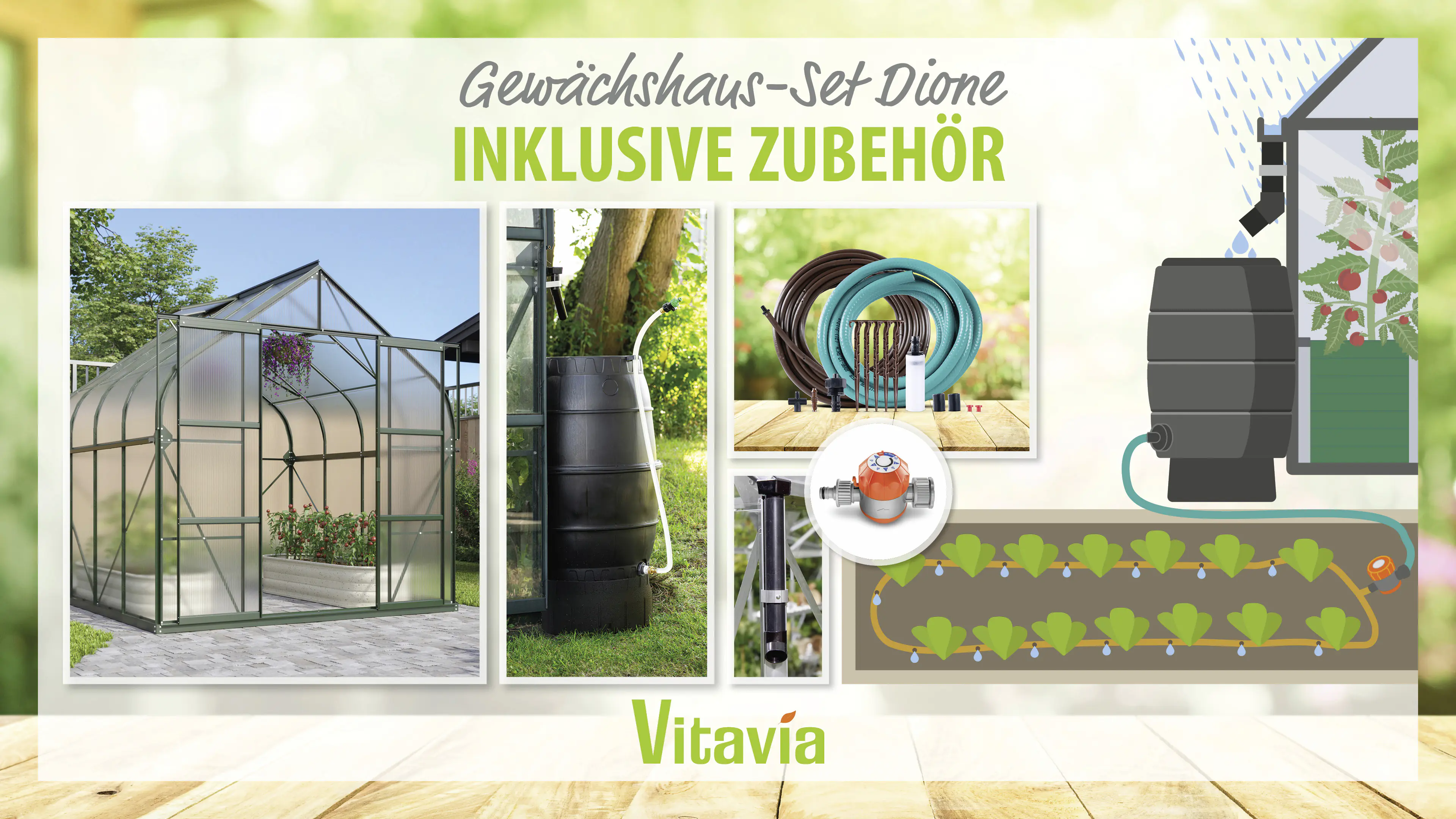 Vitavia Gewächshaus-Set Dione 6700 HKP 4 mm smaragd 254 x 254 cm 