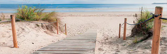 Deco-Canvas Bild - Dünenweg zum Strand 140 x 45 cm