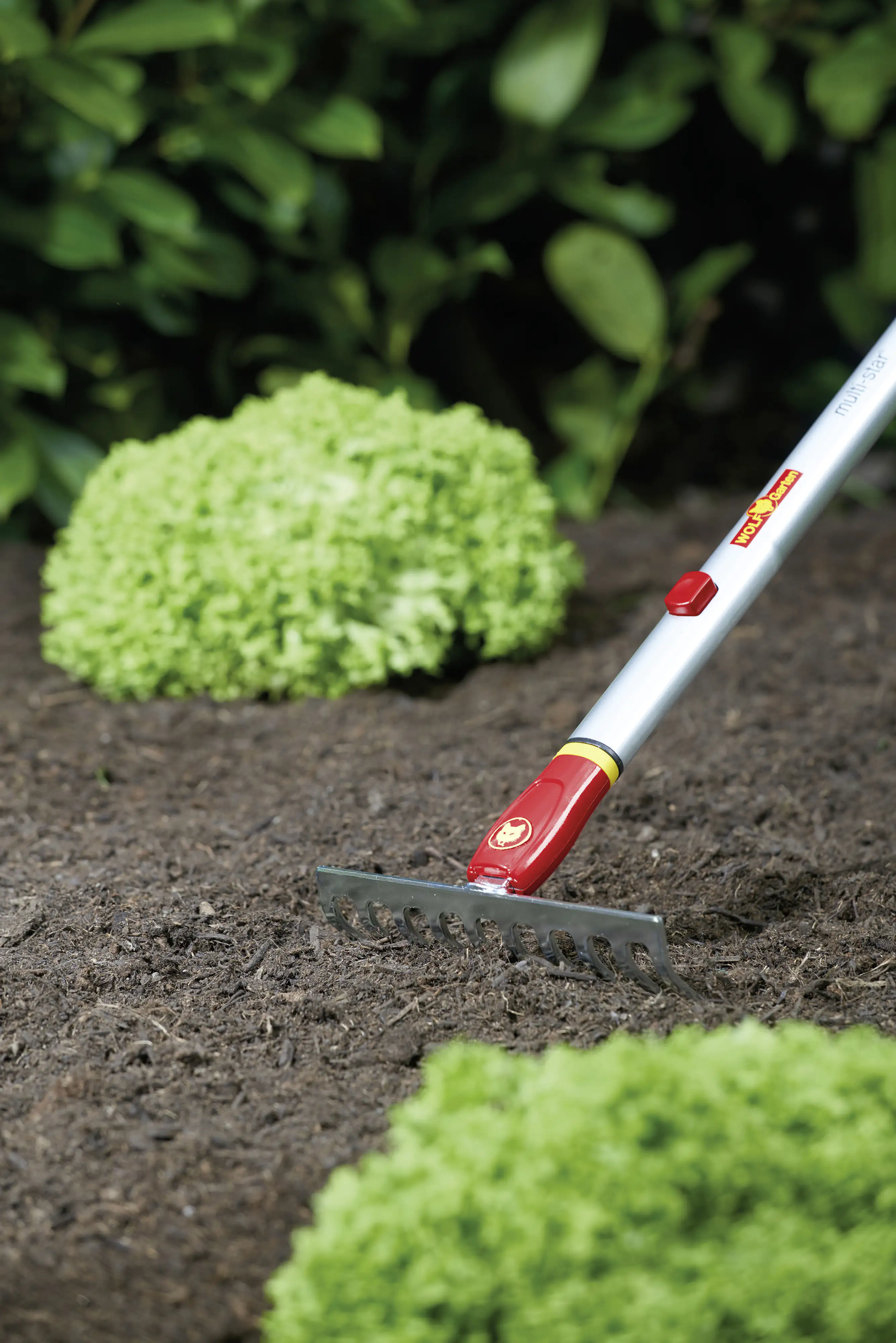 Wolf Garten Kleinrechen Multi-Star DS-M 19 19 cm Arbeitsbreite