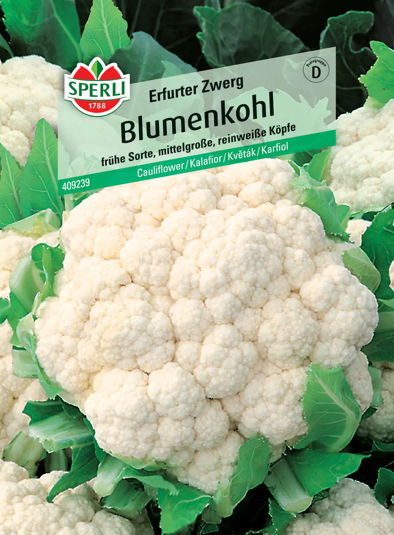 Sperli Blumenkohl Bola de Neve