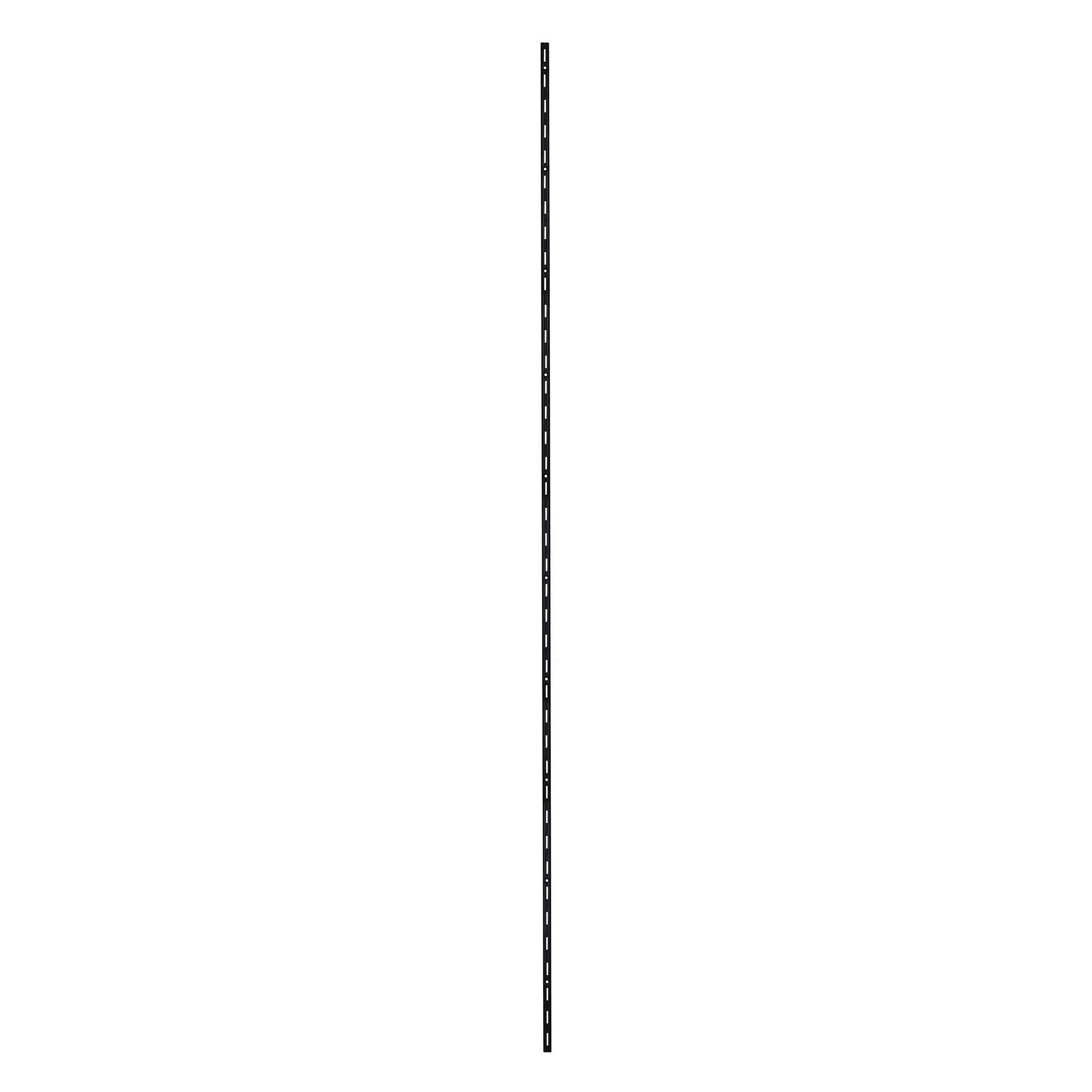 TrendLine Wandschiene 1-reihig schwarz 200 x 1,5 cm