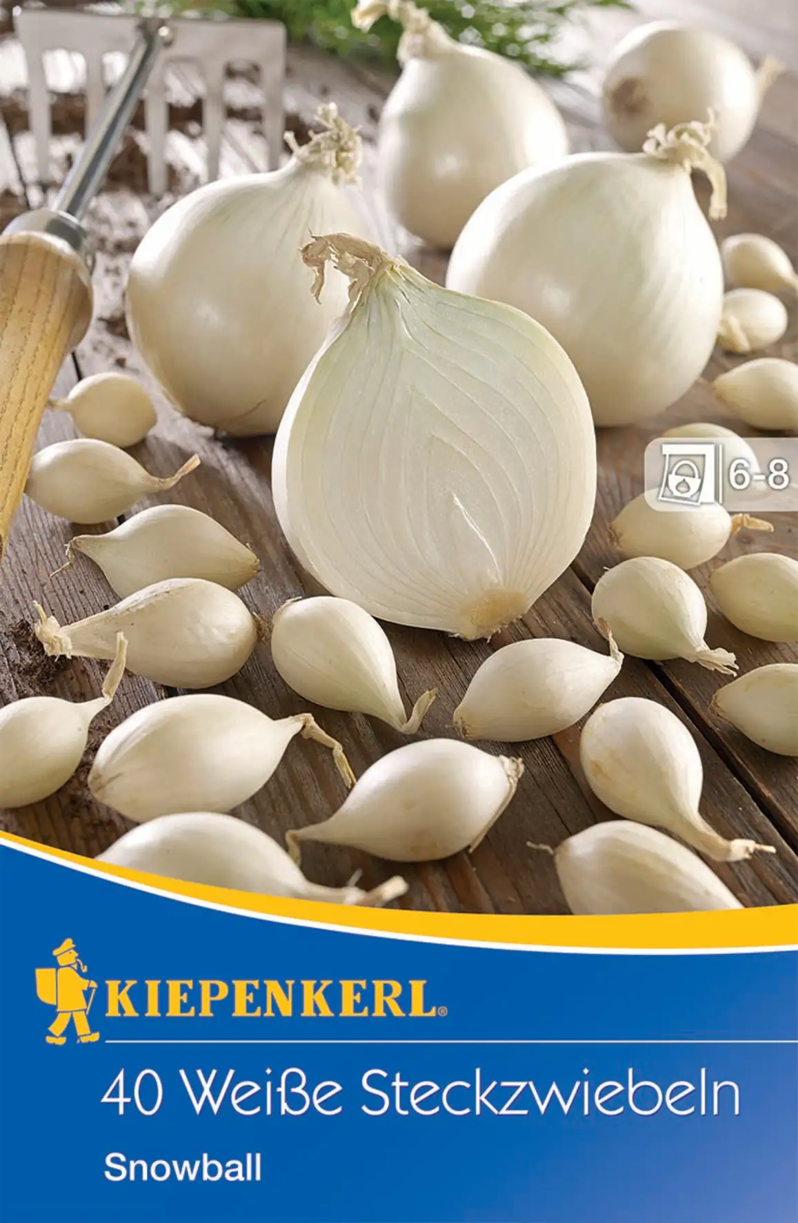 Kiepenkerl Steckzwiebel Snowball