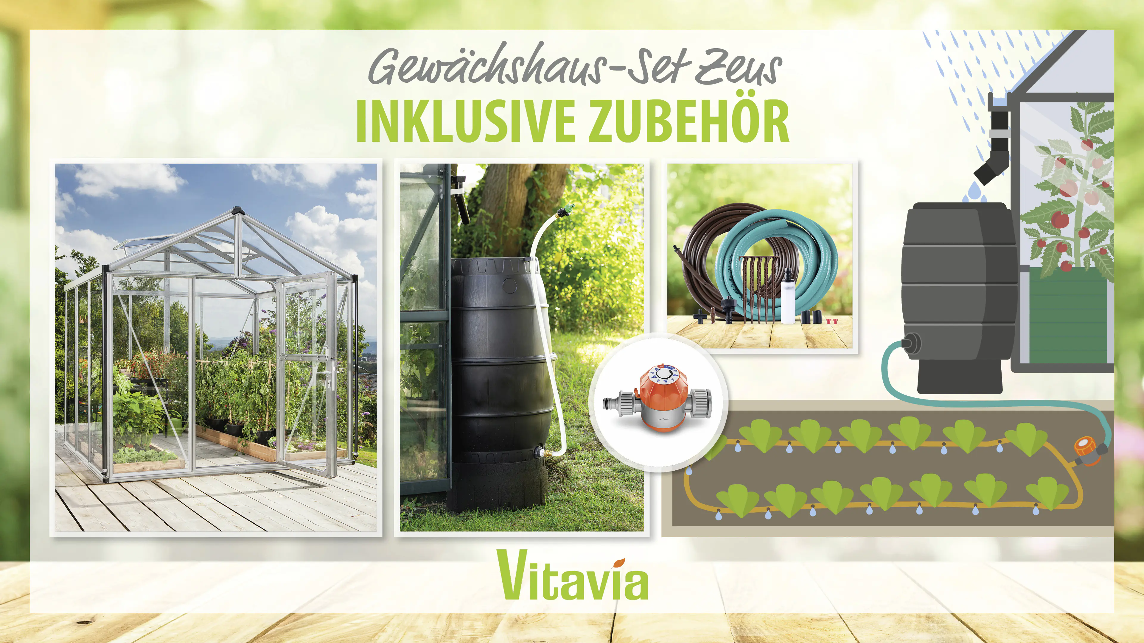 Vitavia Gewächshaus-Set Zeus 6200 ESG/HKP alu 266 x 249 cm 