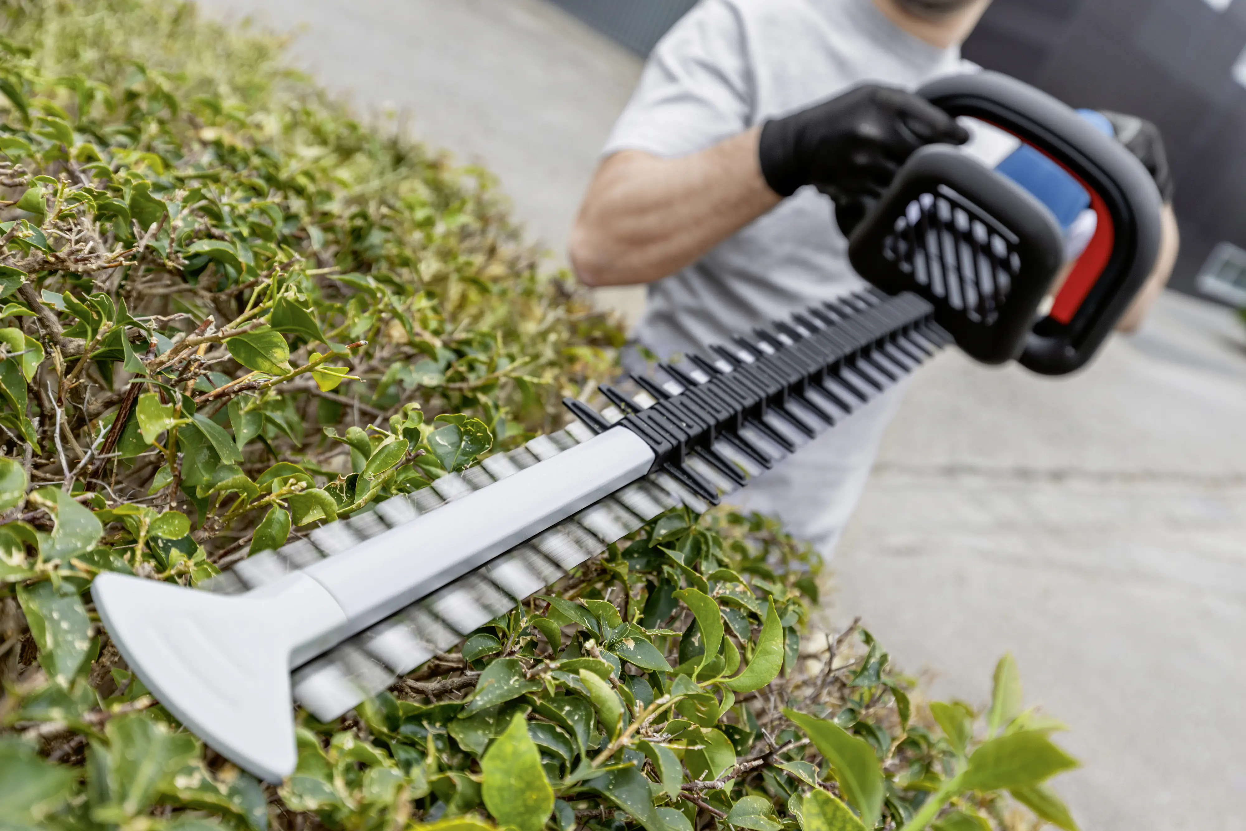 Bosch Professional Akku-Heckenschere GHE 18V-60 Solo Bosch Professional Akku-Heckenschere GHE 18V-60 Solo