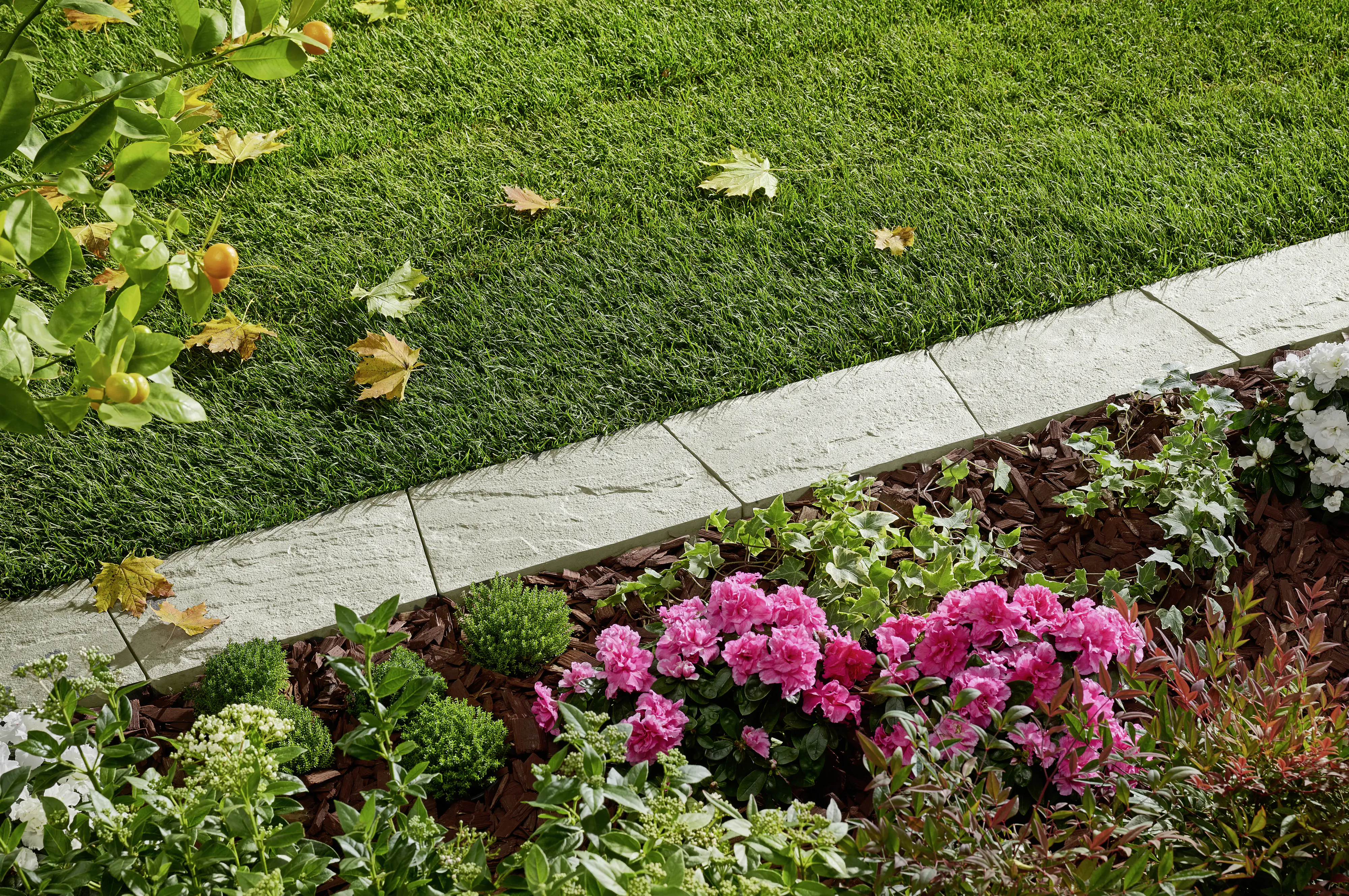 Kann Mähkante Nativa 35 x 20 x 4 cm kalksteinfarben