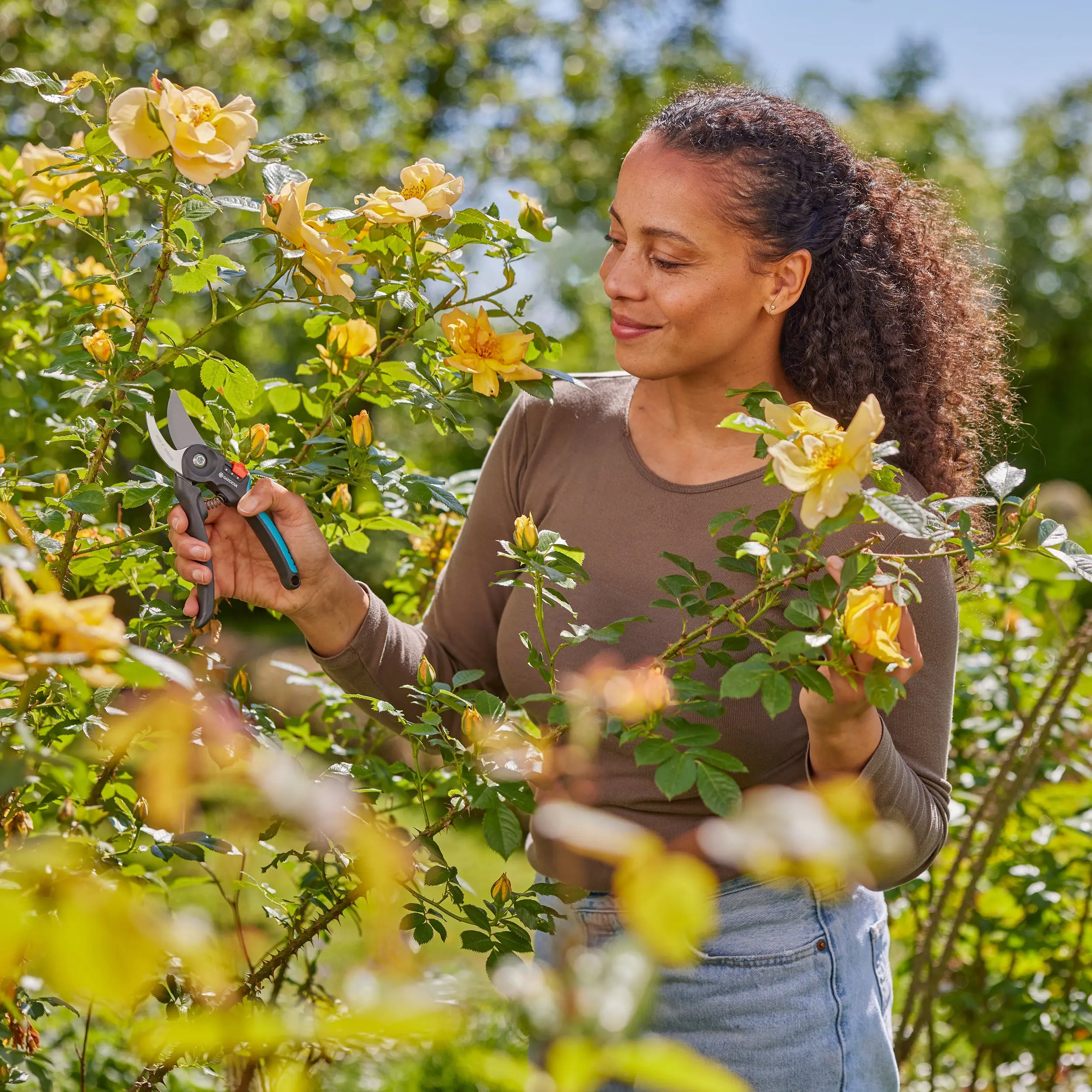 Gardena Gartenschere PremiumCut Flex für grünes Holz Gardena Gartenschere PremiumCut Flex für grünes Holz