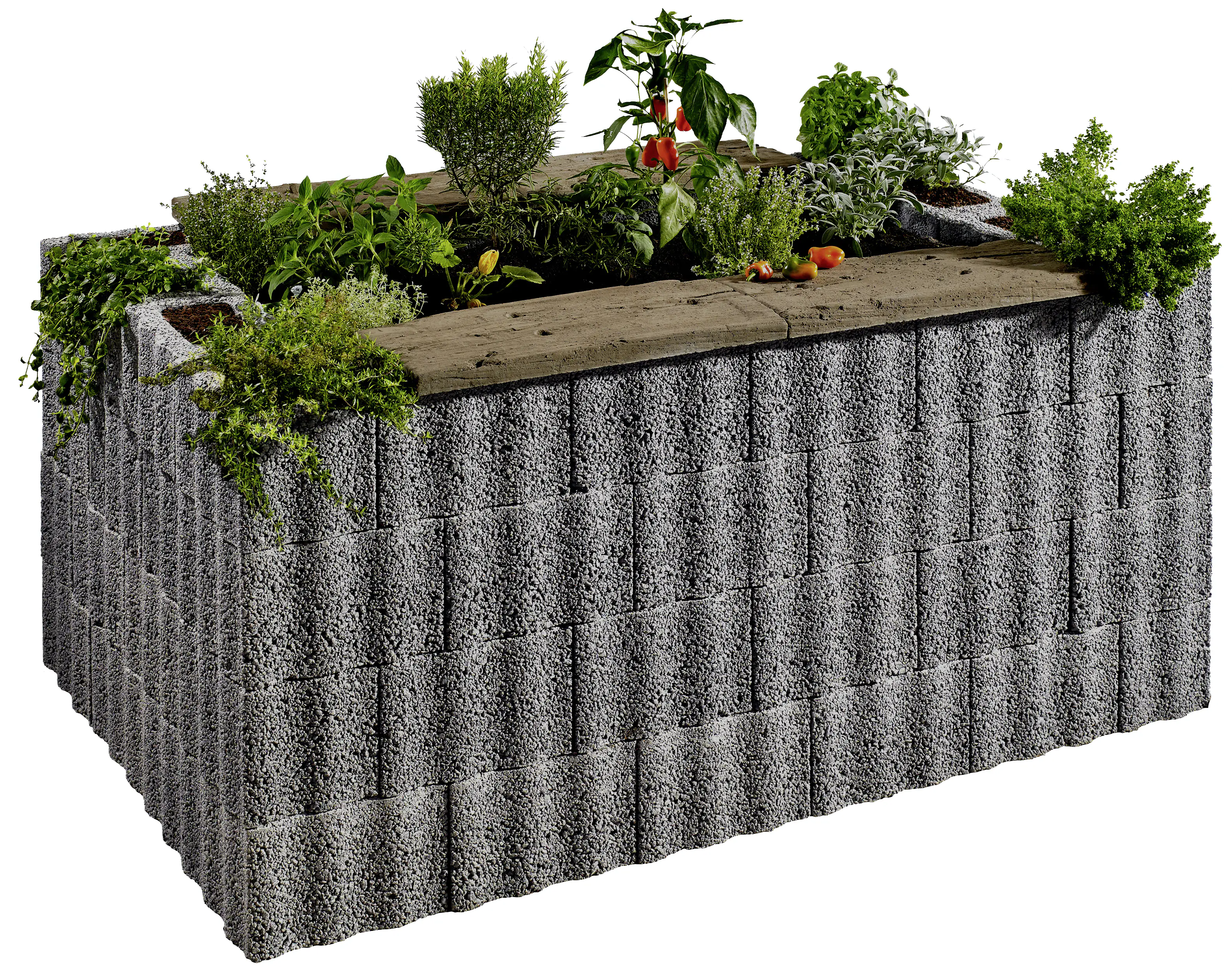 2077881026861_5 Kann Hochbeet-Set Wellino 170 x 110 x 80 cm grau