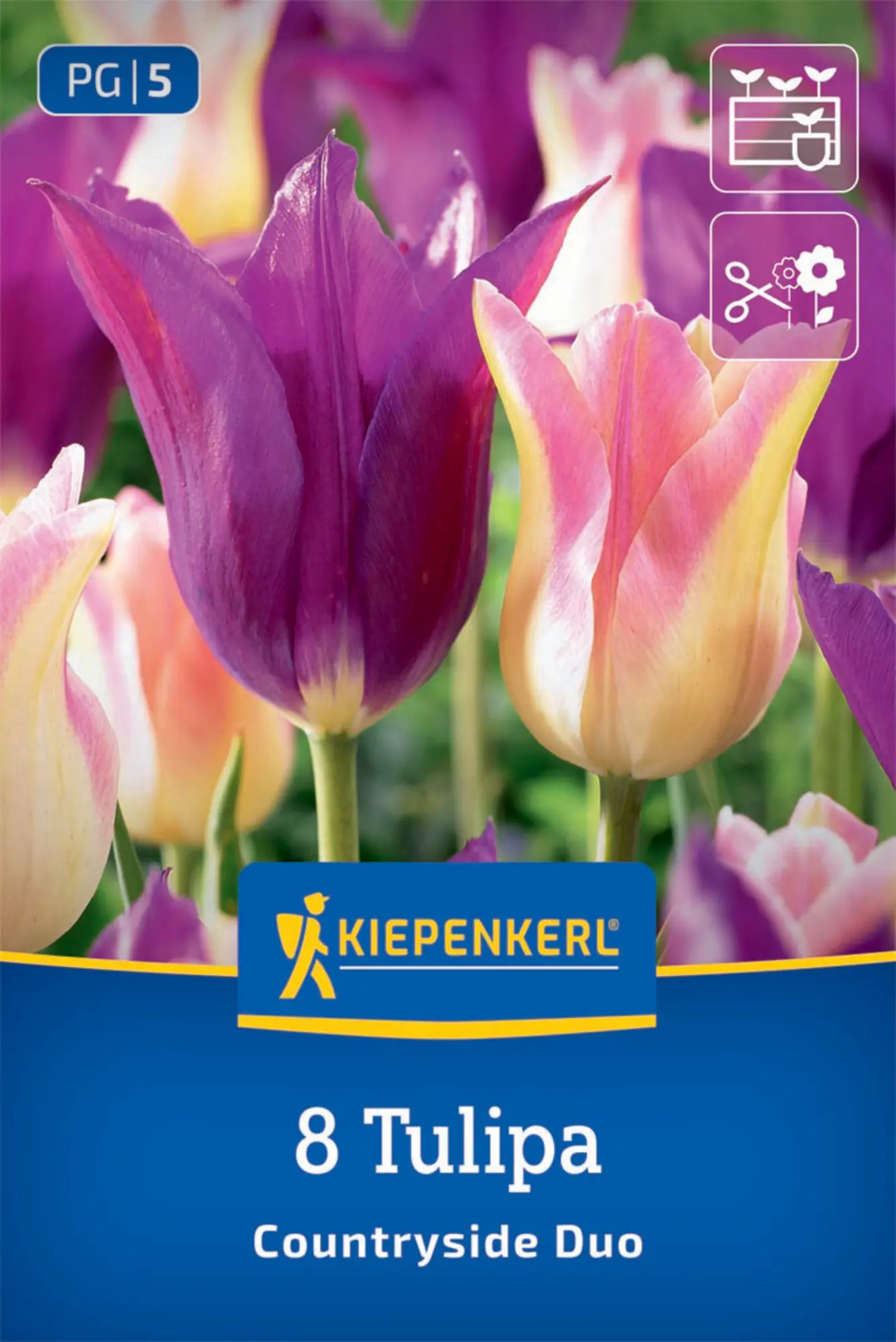 Kiepenkerl Herbstblumenzwiebel Tulpen Mischung Countryside Duo 8 Stück