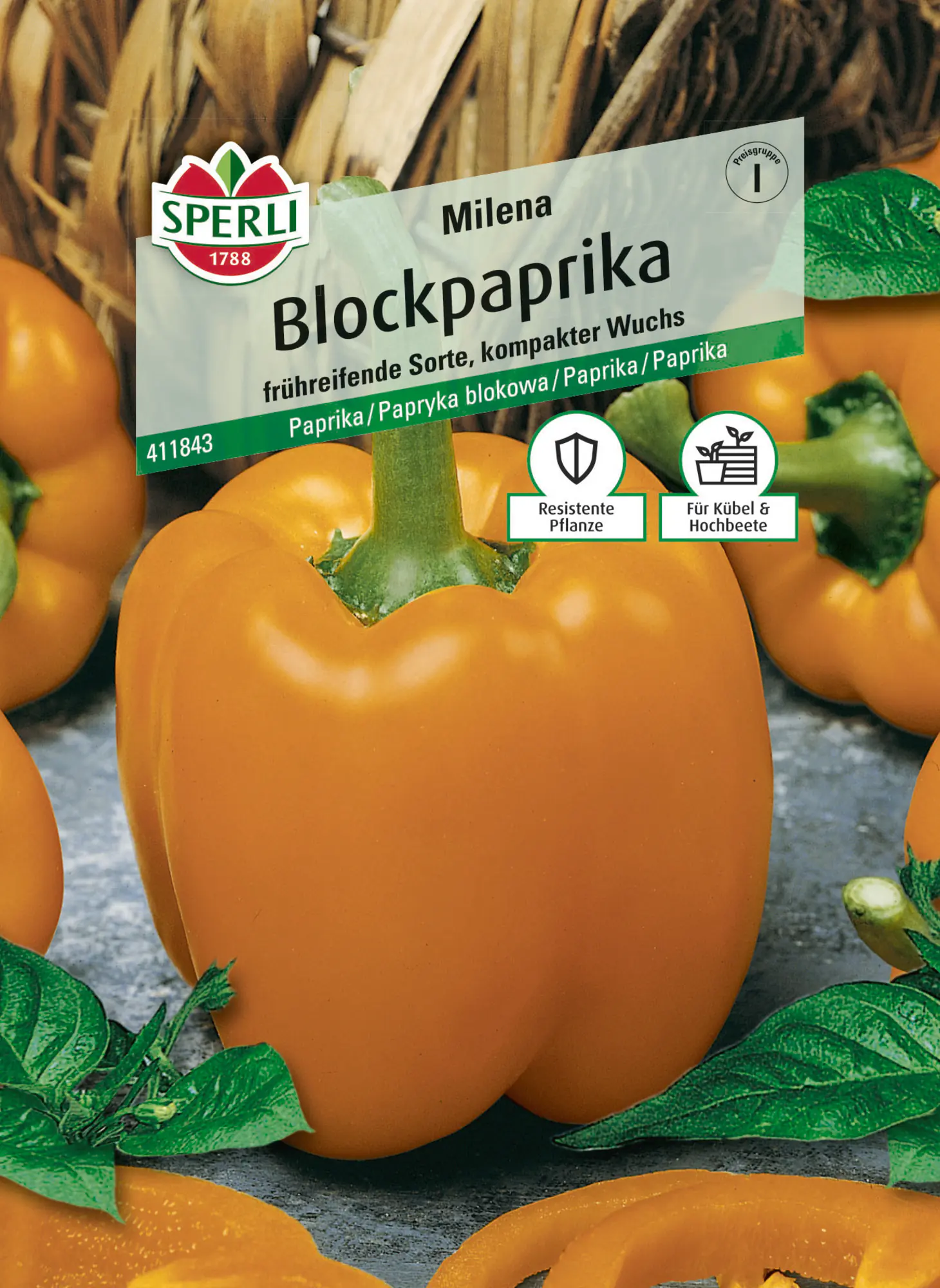 Sperli Keimsprossen Blockpaprika Milena F1 für ca. 7 Pflanzen