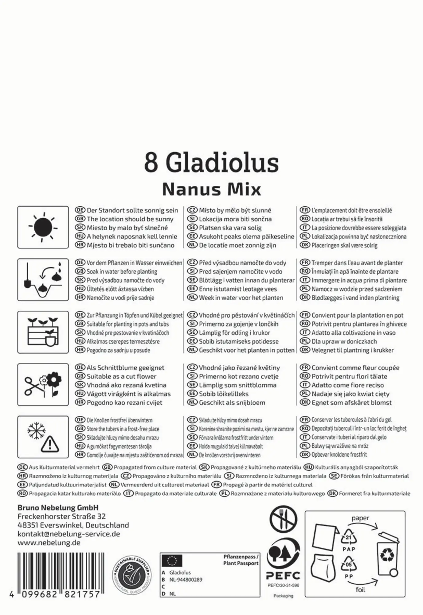 Kiepenkerl Frühjahrsblumenzwiebel Gladiole kleinblumige Mischung 8 Stück