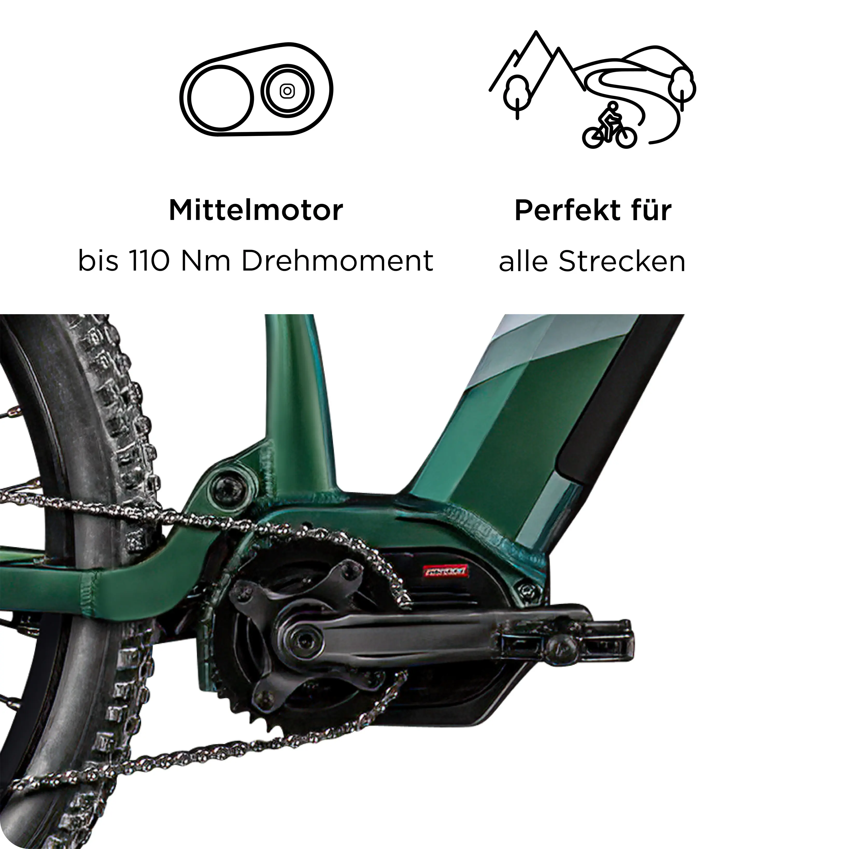 Zündapp E-Bike MTB X1000 29 Zoll 10-Gang 733,57 Wh sunlight magic	