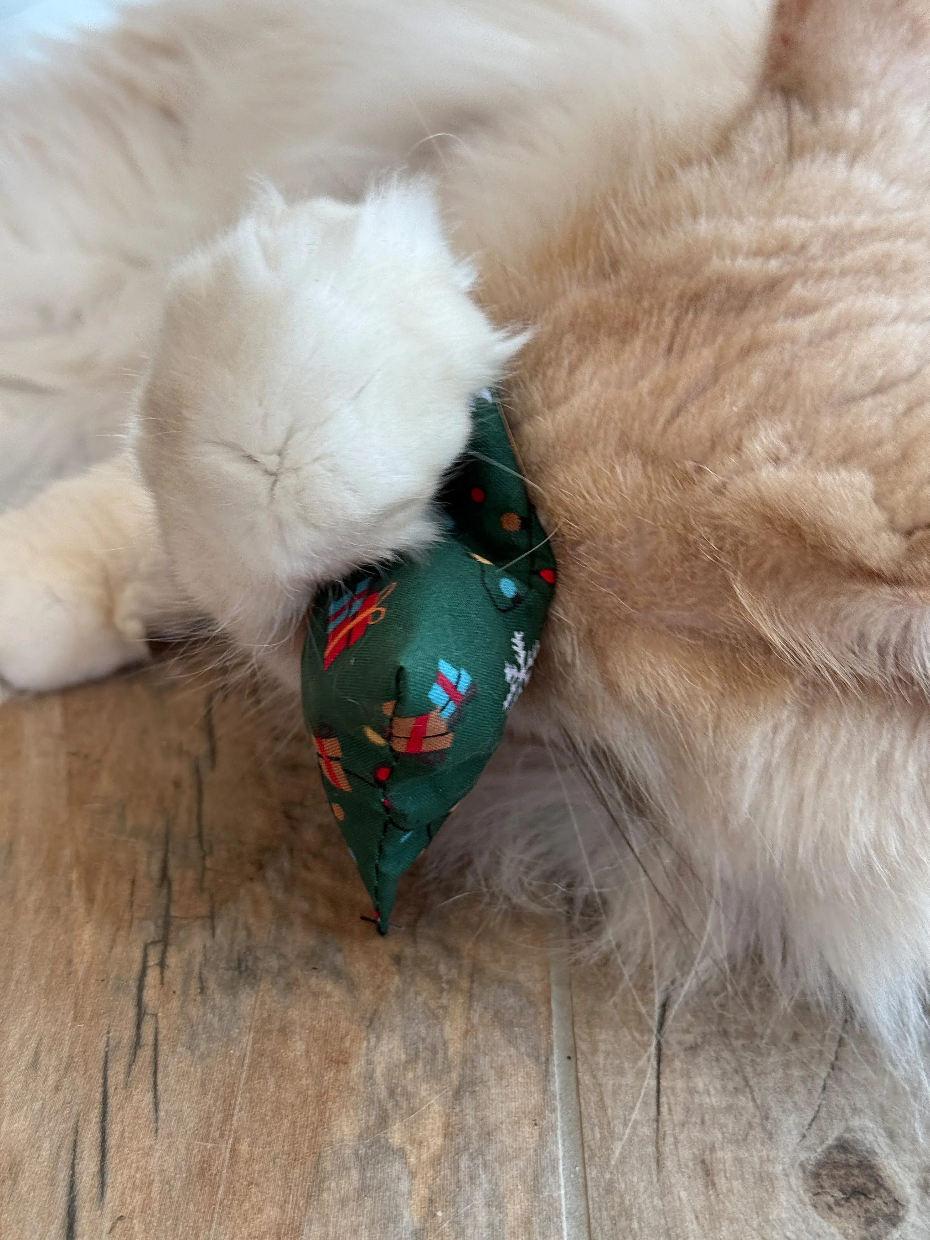 Aumüller Katzenspielzeug Weihnachten Kissen 10 cm grün gold - 2 Stk. Aumüller Katzenspielzeug Weihnachten Kissen 10 cm grün gold - 2 Stk.