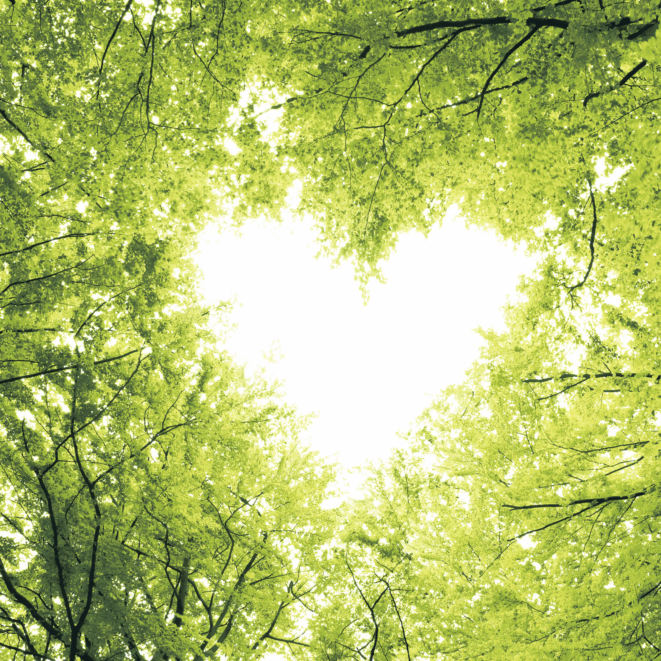 Duni Servietten Nature Love 33 x 33 cm - 20er Pack